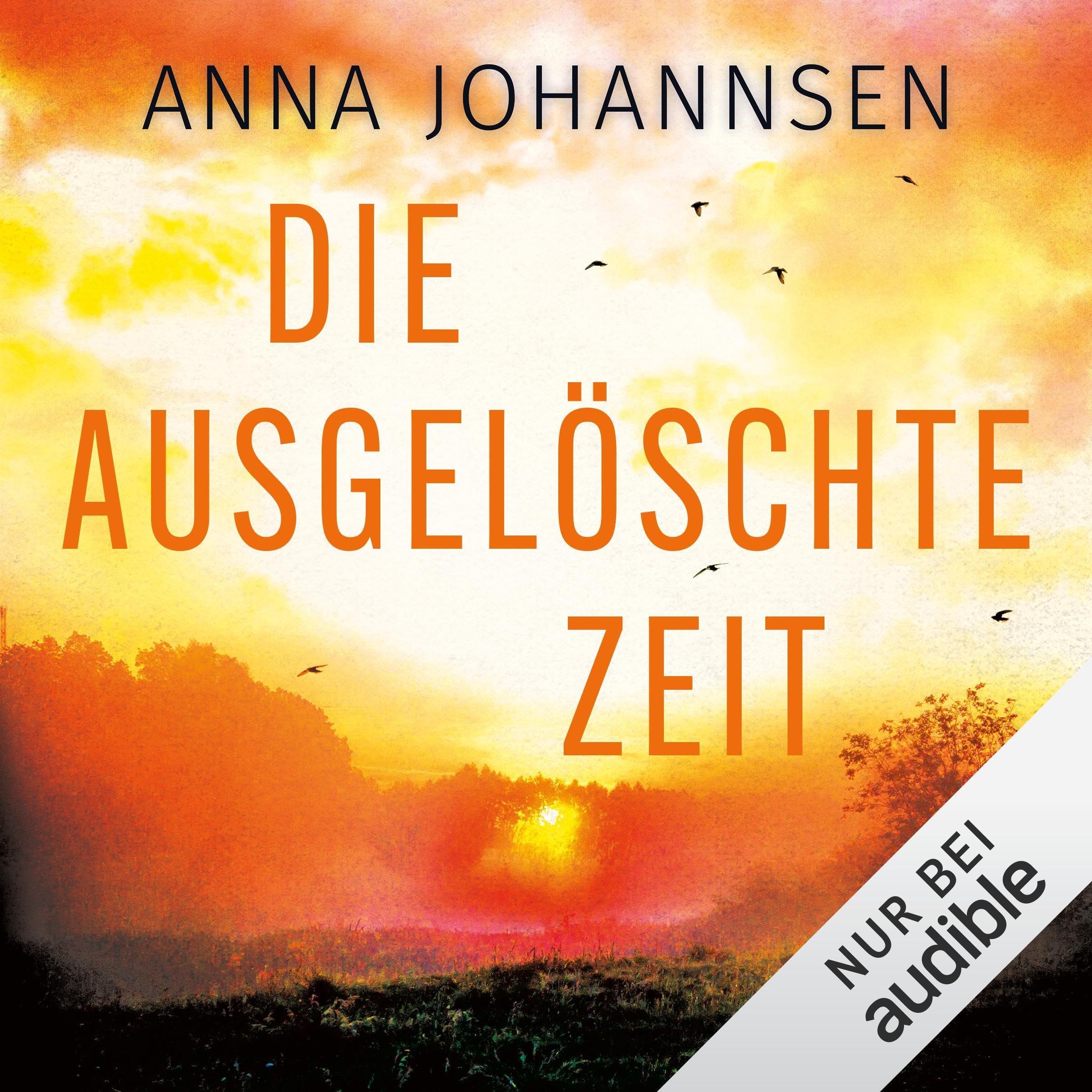 Cover art for Die ausgelöschte Zeit