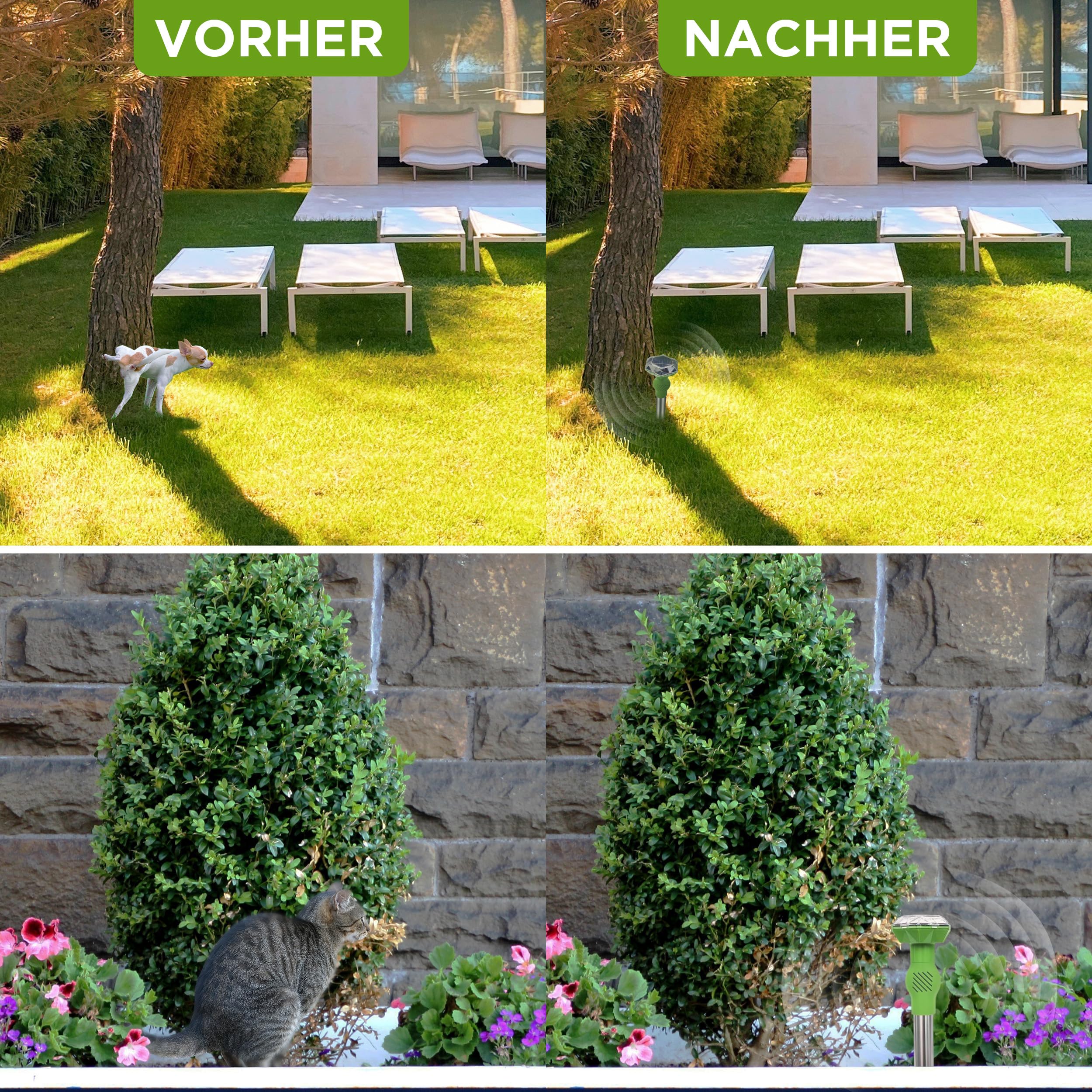 ISOTRONIC Solar Tiervertreiber zur Abwehr von Katzen, Hunden, Füchsen & Waschbären – Ultraschall Katzenschreck für den Garten – Hundeschreck mit 40m² Wirkungsbereich (4 Stück)