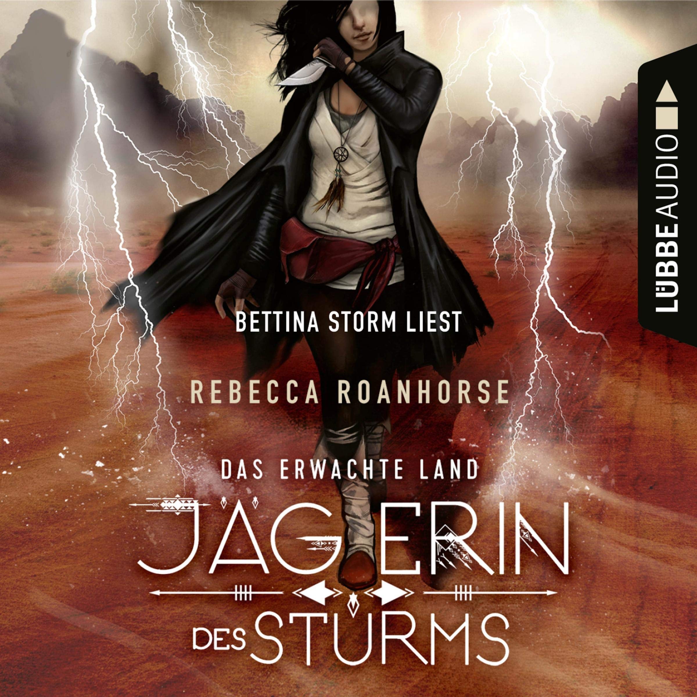Cover art for Jägerin des Sturms