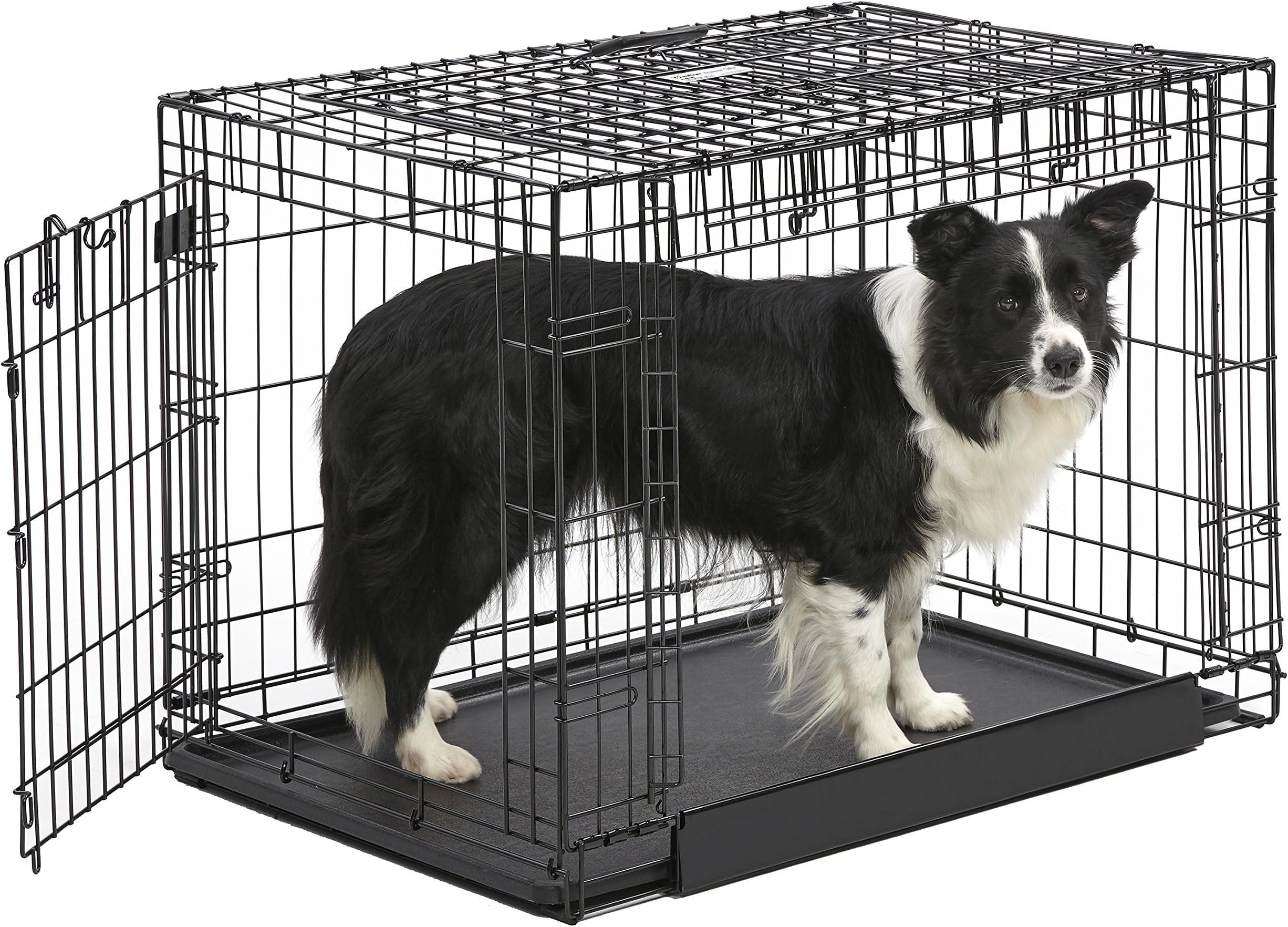 MidWest Homes for PetsOvation Double Door Dog Crate, 36-Inch