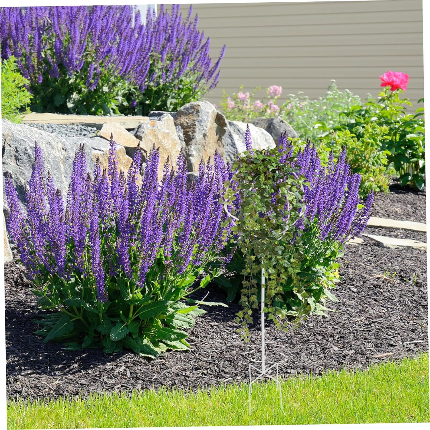 Hemoton Round Flower Support Rack for Indoor and Outdoor Plants Adjustable Garden Trellis for Climbing Vines Sturdy Vegetable Cage Stand for Flower Gardening Random Color