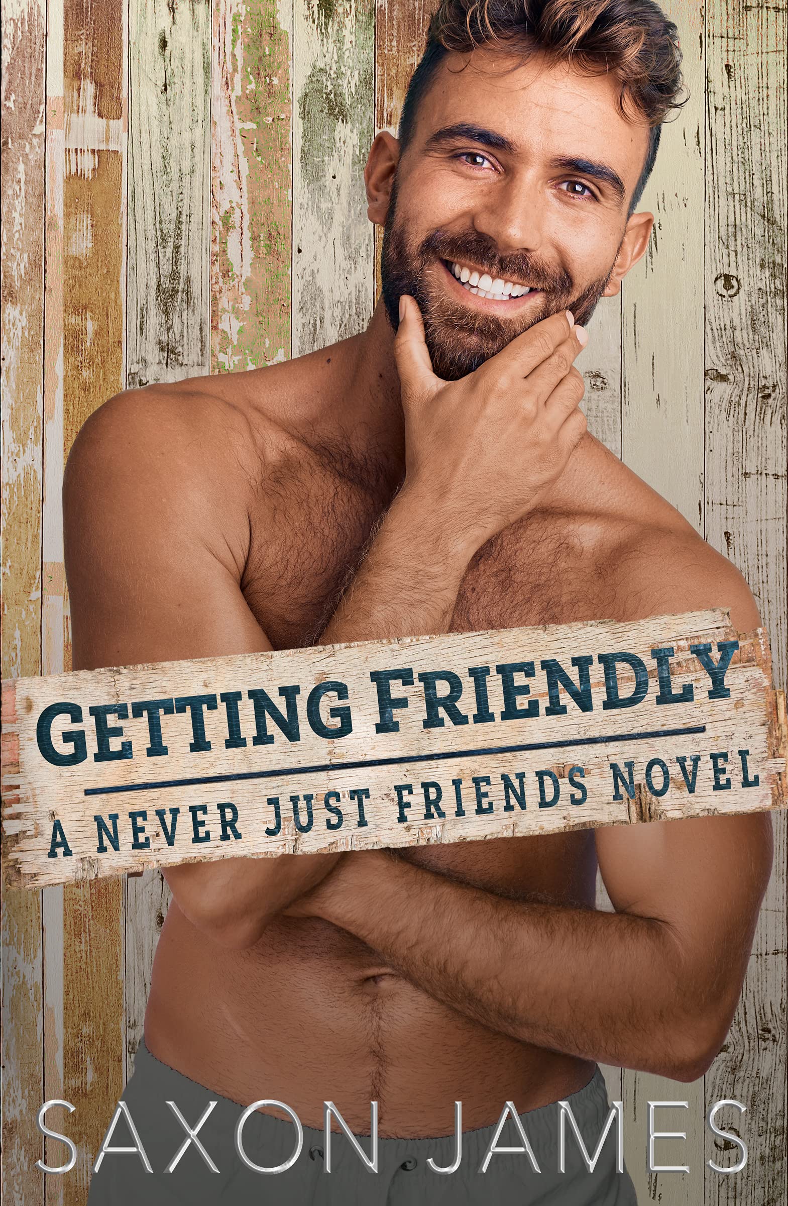 Getting Friendly: Never Just Friends, Book 3
