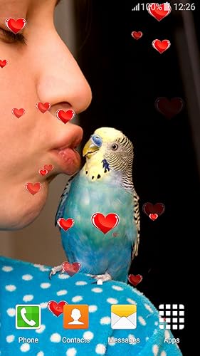 Parrot Live Wallpapers