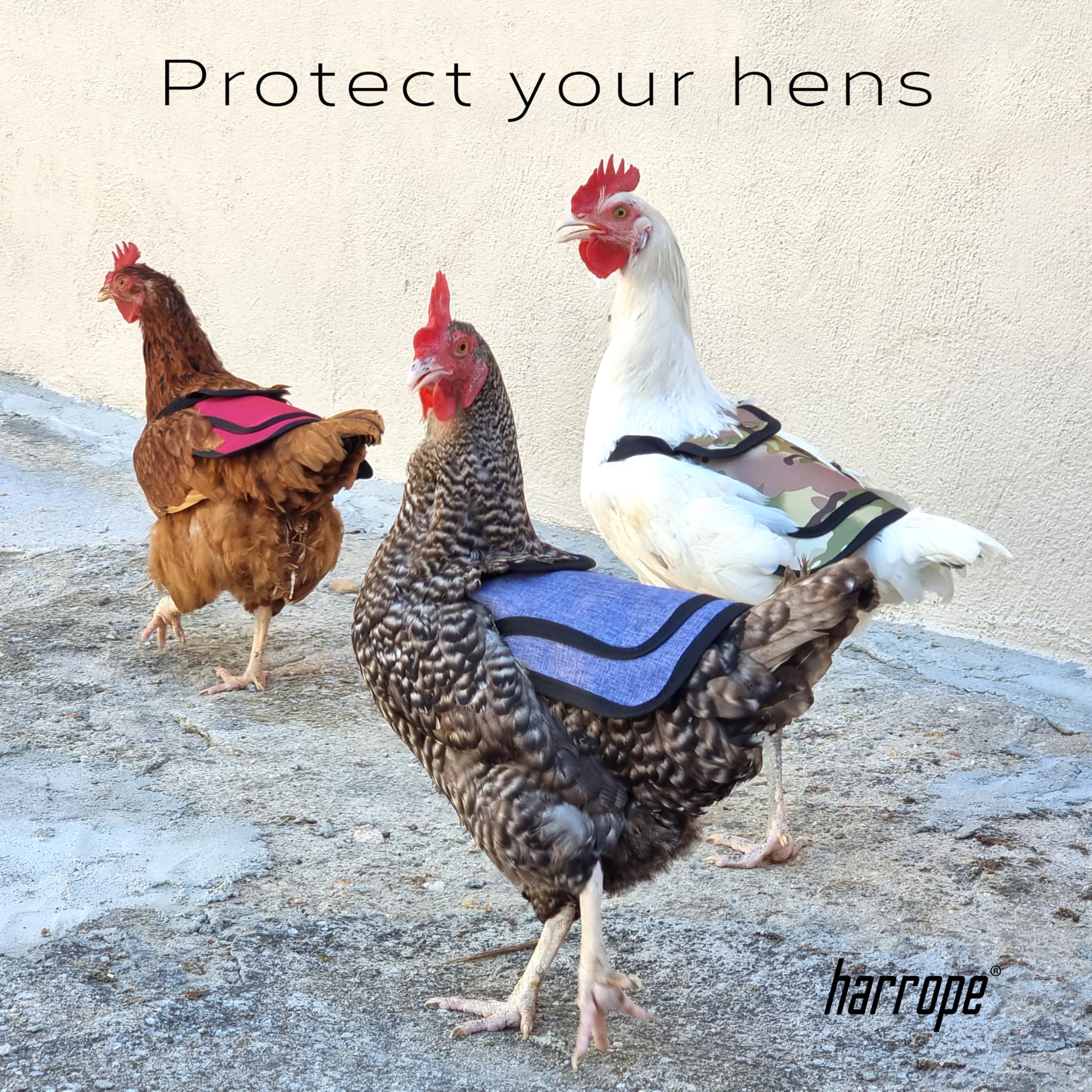 Harrope Cape de Protection réglable pour Poulet ou volaille. Protège Le Dos des blessures. Protégez Le Poulet Pendant Que Le Coq Marche Dessus (2pcs Rouge et Bleu foncé,)