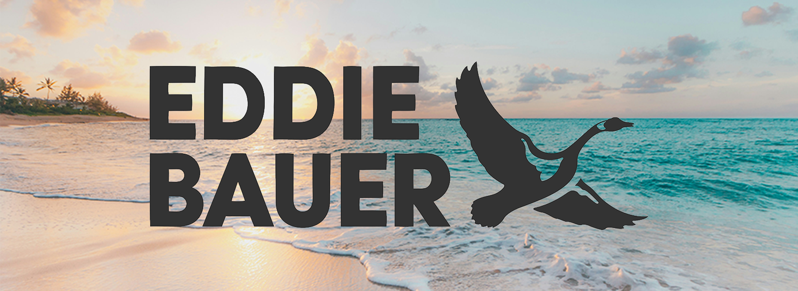 Maillots de bain pour hommes - Eddie Bauer
