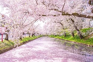 ND Tapestry Cherry Blossoms Cherry Blossom Trees Interior Spring Stylish Landscape Scenery Large Size Healing Room Decoration Seasonal Online Drinking Party Backdrop Wall Instagram Goods Accessories