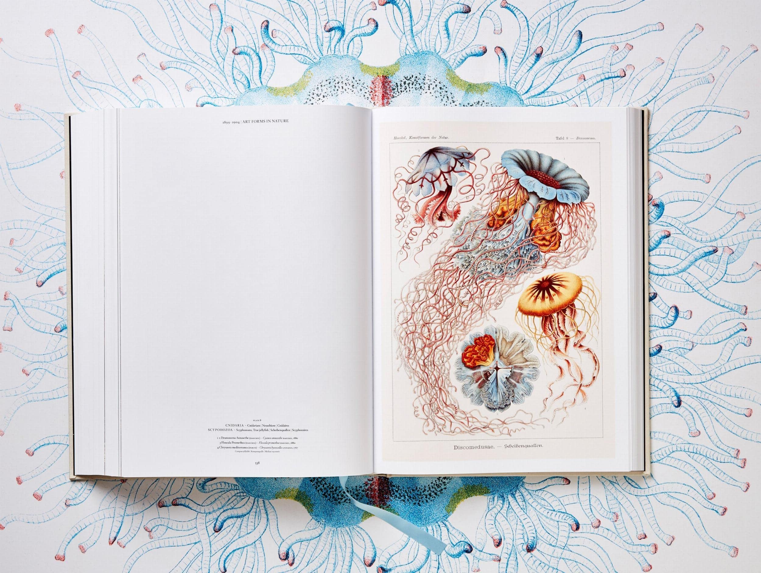 The Art and Science of Ernst Haeckel: The Complete Plates