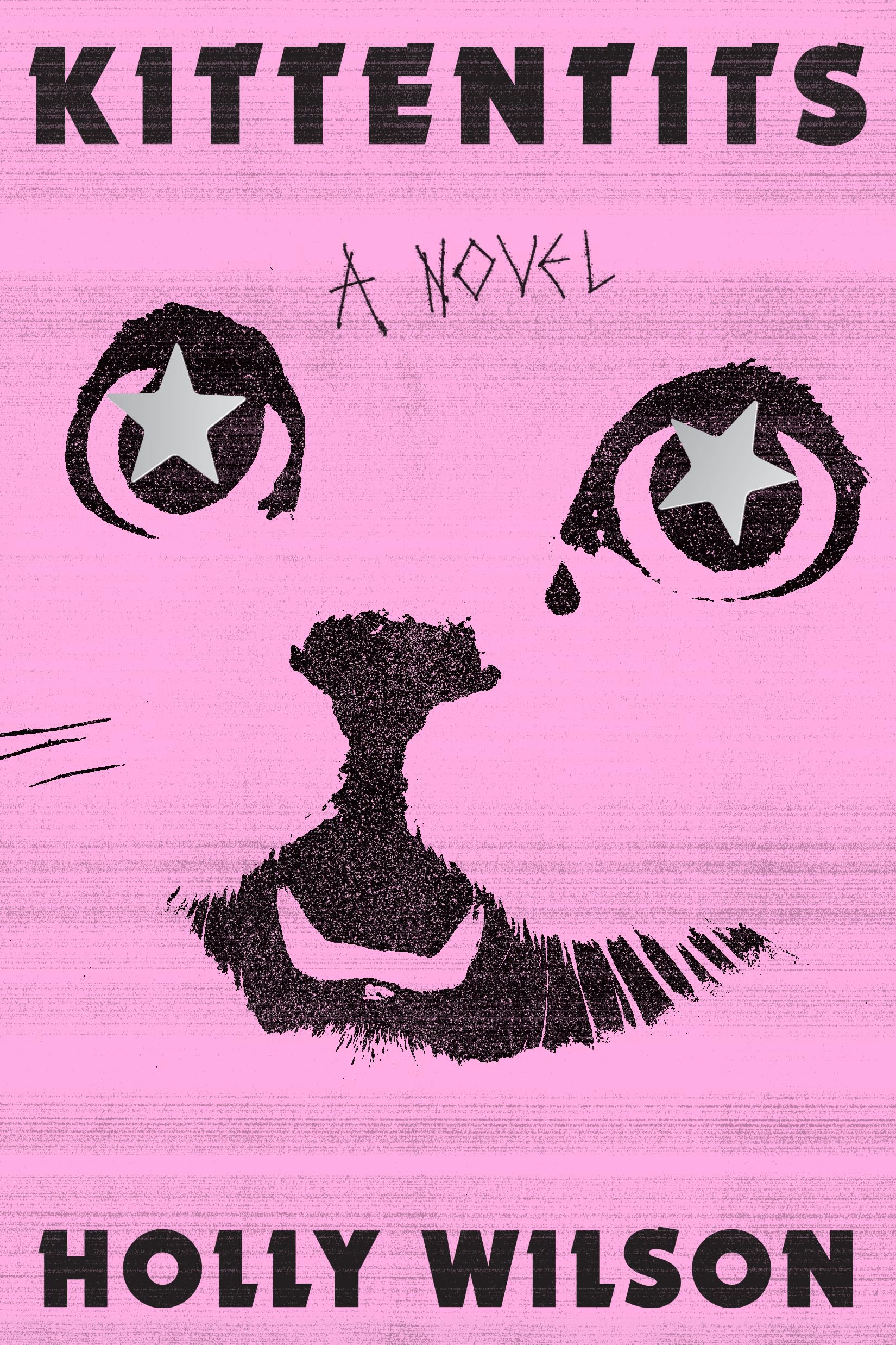Kittentits: A Novel