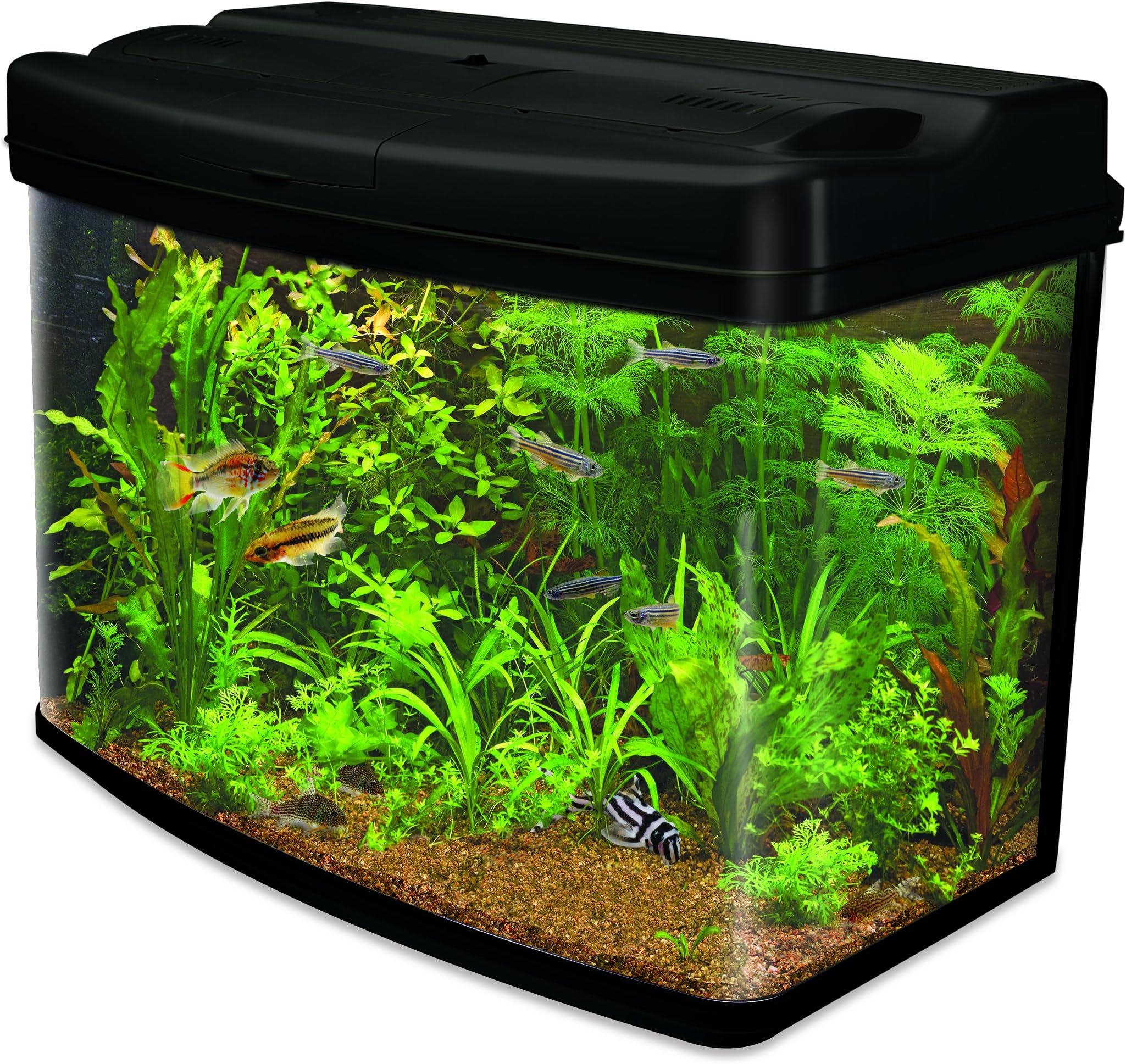 Interpet Fish Pod Glass Aquarium Fish Tank, 64L, with Bright White Lighting, Heater, Thermometer and Easy Care Filter