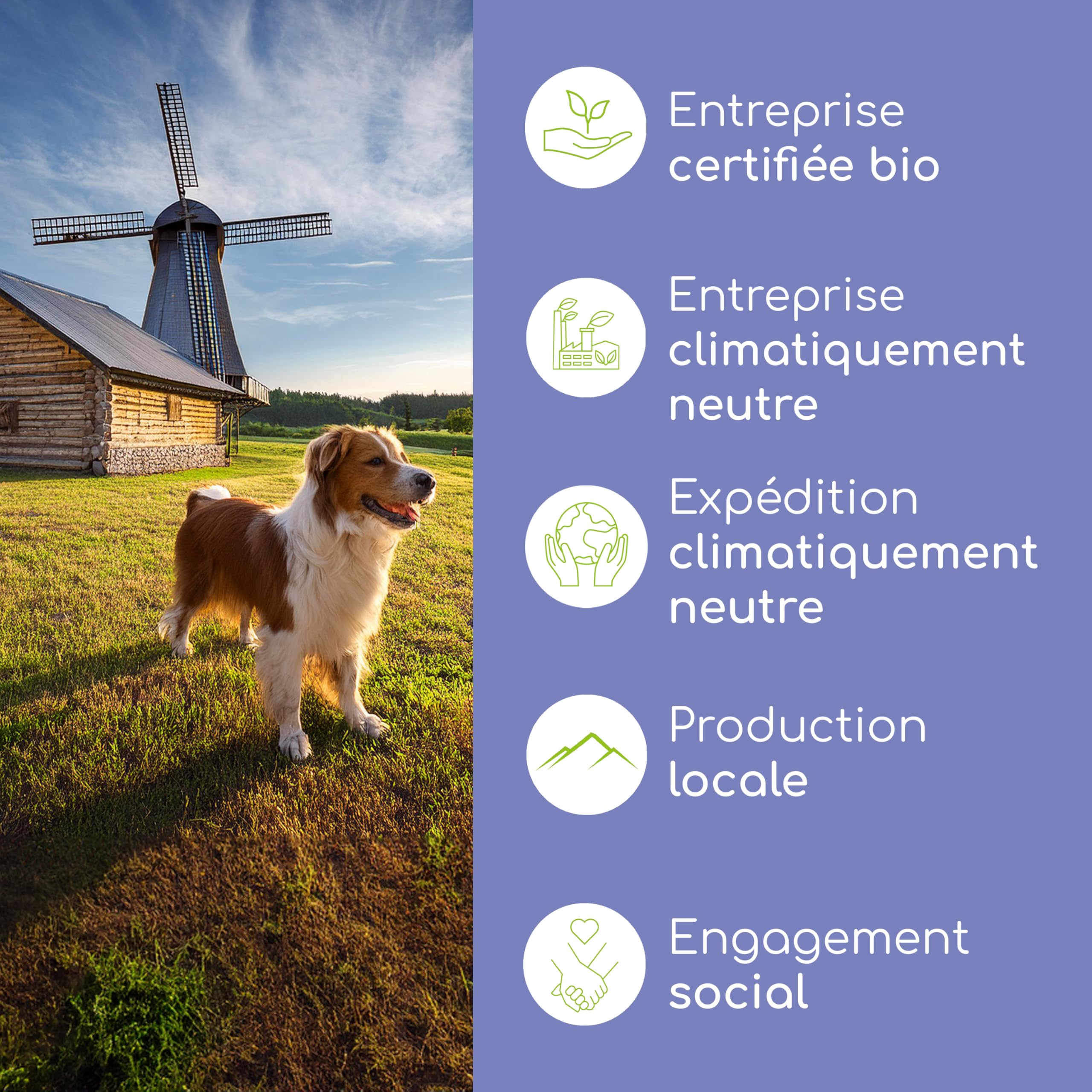 Huile de Lin Bio pour Chiens & Chats 500ml I Naturelle et pressée à Froid - Alternative végane à l'huile de Saumon d'Allemagne I Soutien pour Le Pelage & la Peau grâce aux oméga 3