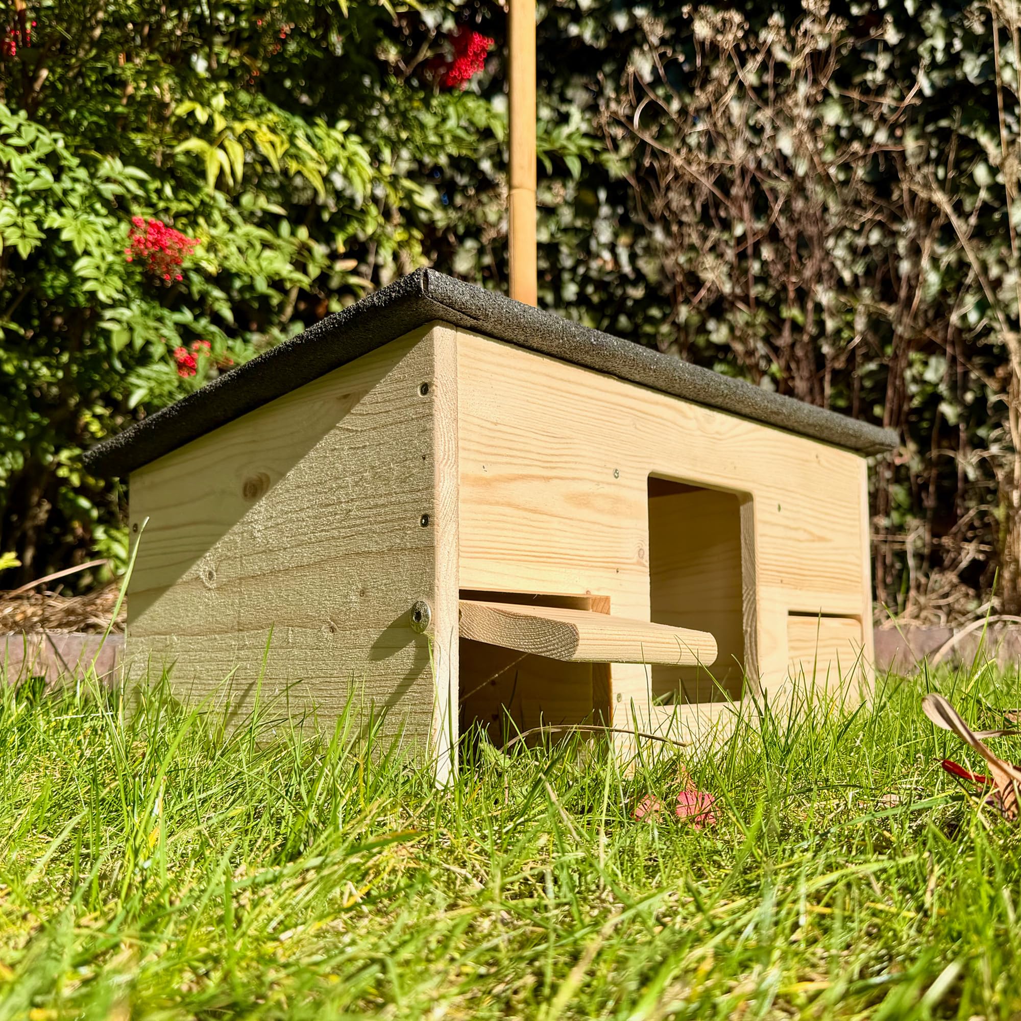 gartenetage Igelfutterhaus mit Beobachtungsfenster & Rattenklappen aus Holz – Sicheres Igelhaus für Garten mit Schleuse, Fluchtweg & Wetterschutz – Robuste Futterstation für Igel ganzjährig