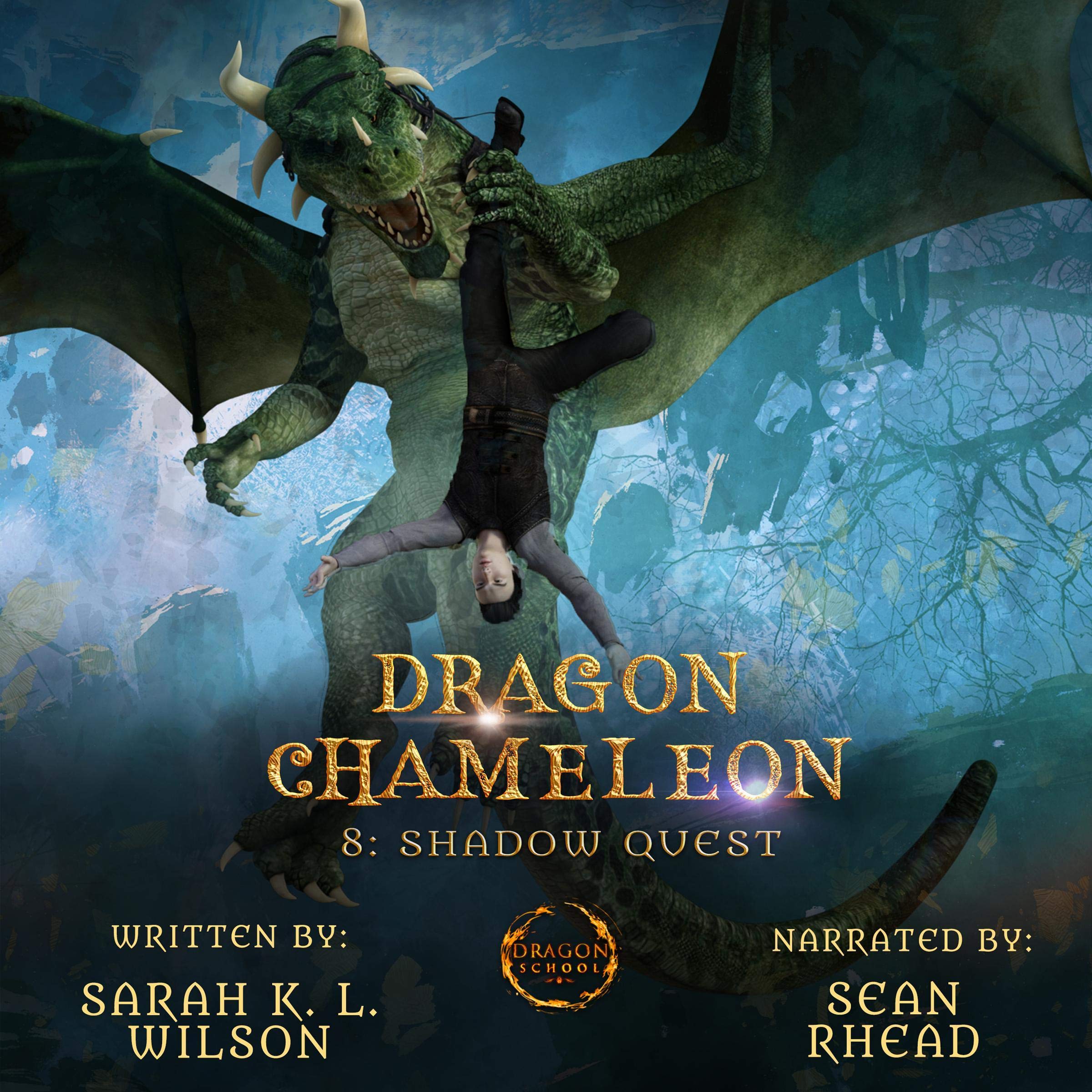 Cover art for Shadow Quest