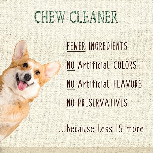 Miniatura 6 de Nylabone Nutri Dent Dog Dental Treats - Limpieza natural de dientes y ambientador de aliento - Golosinas dentales para perros - Sabor filet mignon,