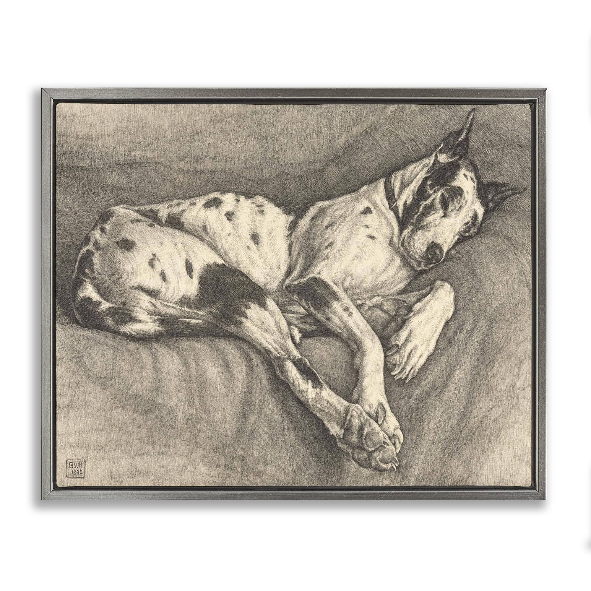 Stupell Industries 'Sleeping Hound Drawing', Floating Frame Canvas Art, Gray, 31 x 25 Inches, Easy to Hang and Sturdy, Made in USA, by Bertha Van Hasselt