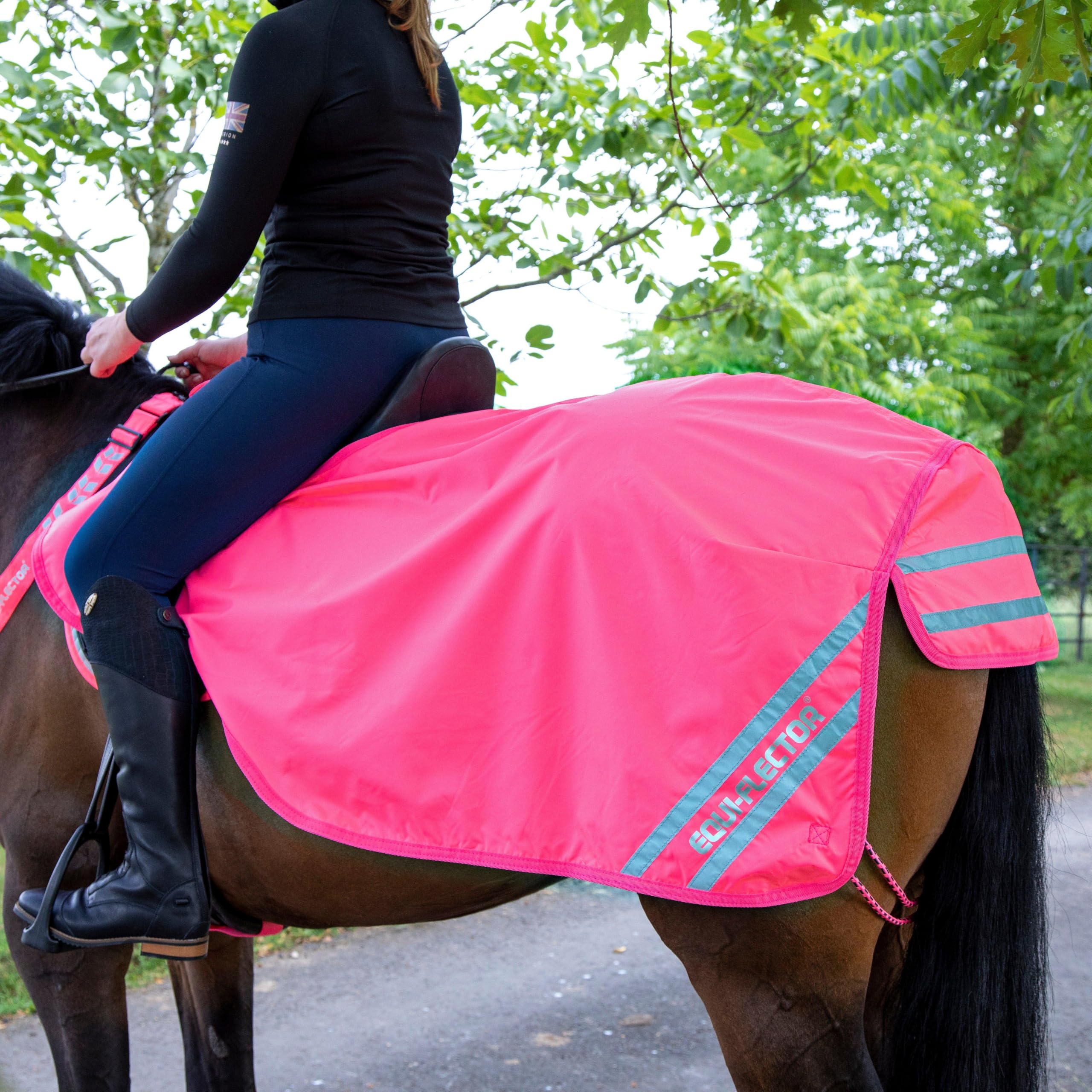 Shires Equi-Flector Exercise Sheet - Pink 4'9" / 57"