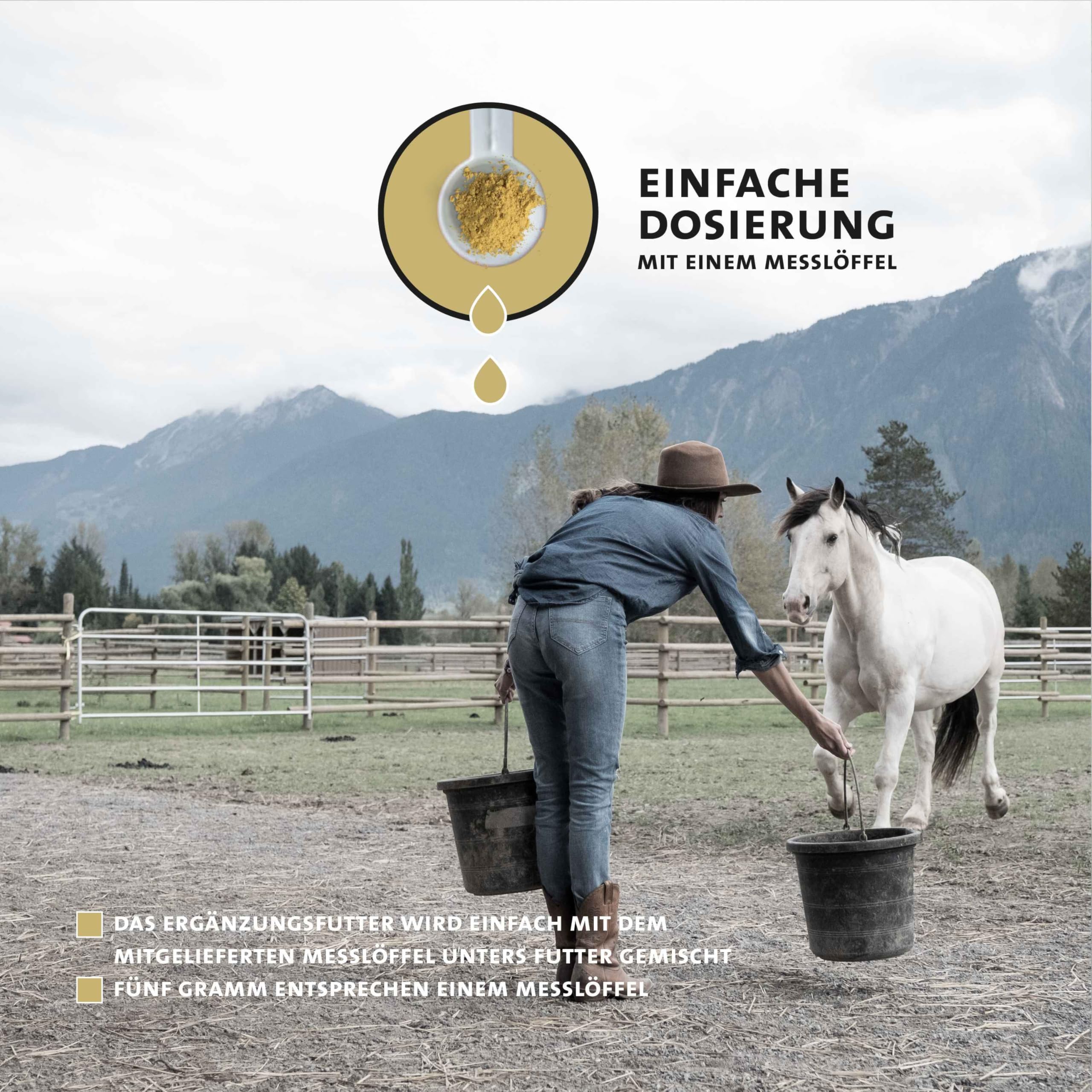 Peticare Poudre Immunité & Vitalité pour Chevaux | Soutient défenses Naturelles & Protection cellulaire | avec Ginseng, échinacée & polyphénols | Complément Naturel | petHorse Health 4611