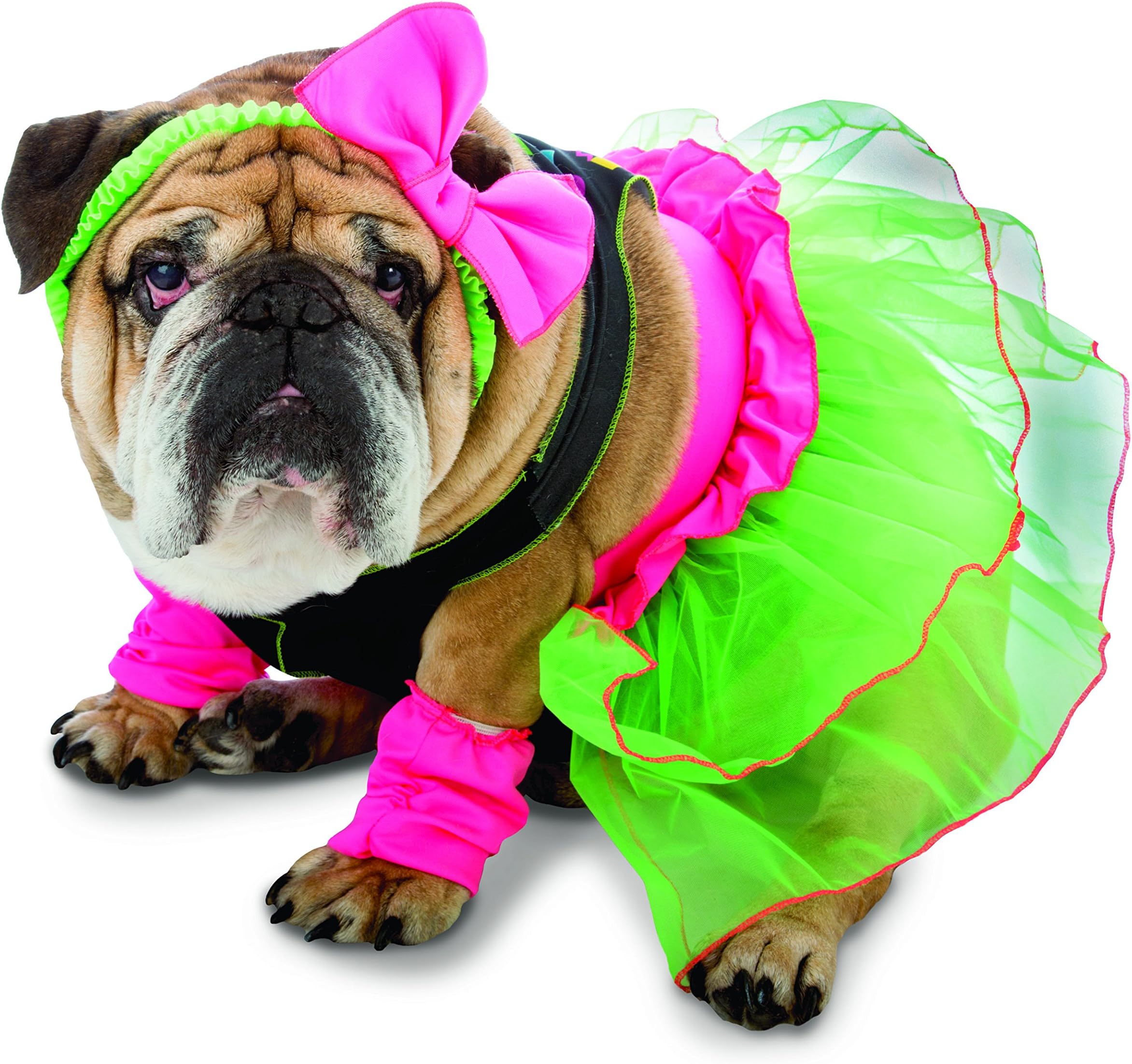 Rasta Imposta 80's Party Dog Costume, X-Large