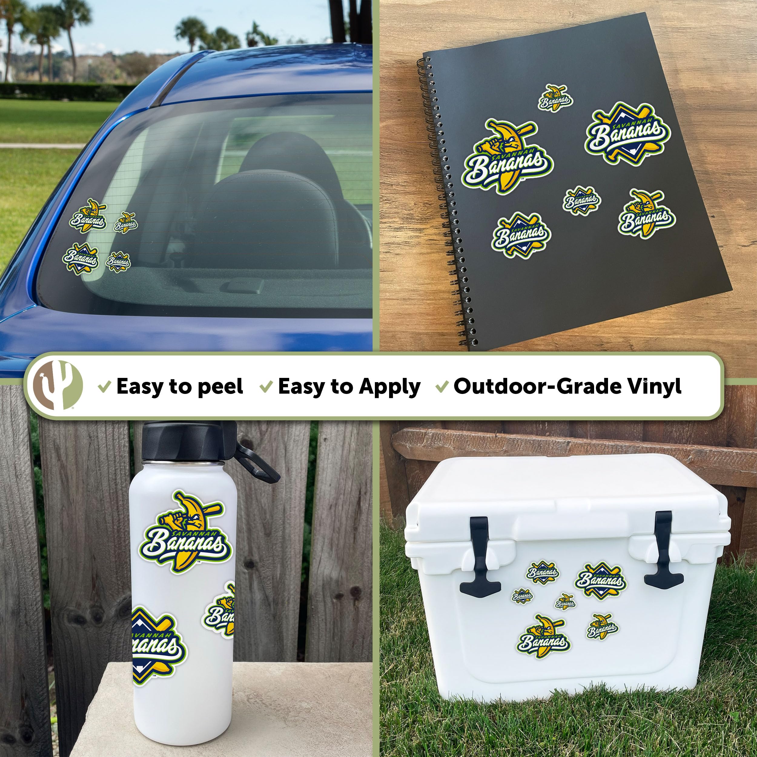 Amazon.com: Desert Cactus Savannah Bananas Sticker Decal Vinyl