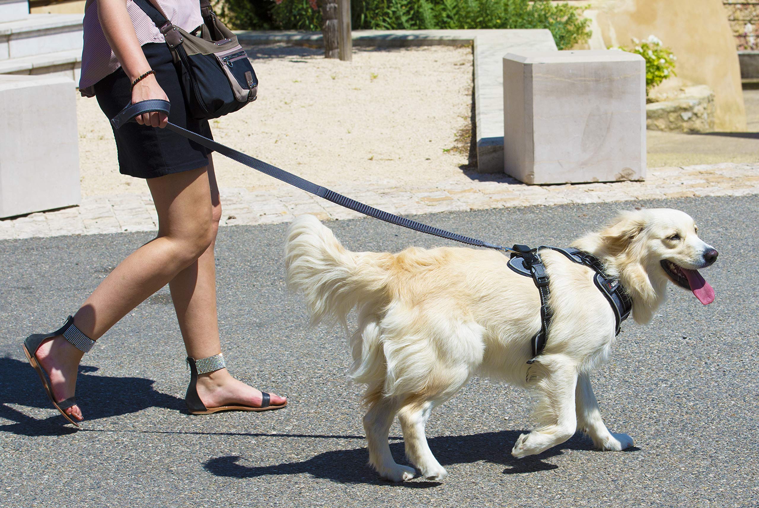 Arnés de perro estilo ultra versátil ideal para paseos en campo y paseos urbanos, con posibilidad de cani Jogging y anillo anti tracción delantero color gris (XXS)