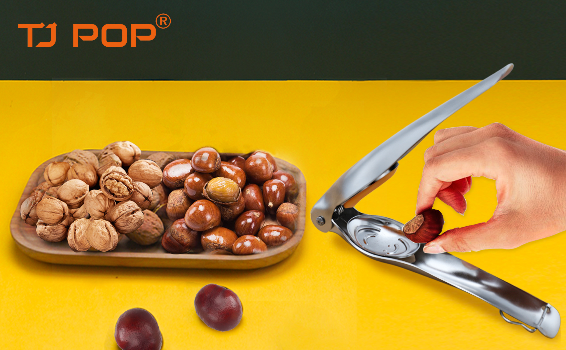 Amazon.com: TJ POP Chestnut Cutter, 304 Stainless Steel Chestnut
