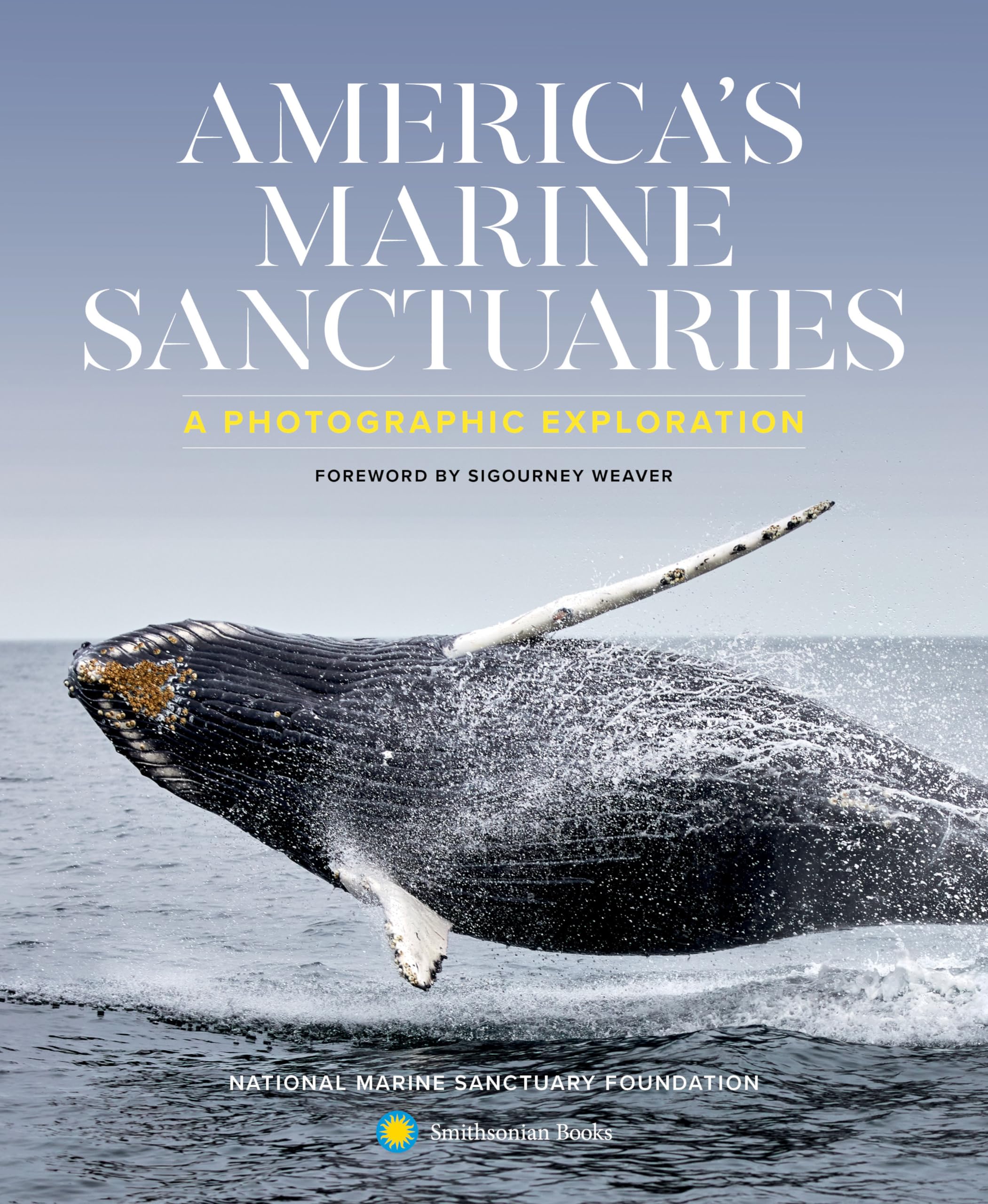 America's Marine Sanctuaries: A Photographic Exploration Hardcover – Import, 20 October 2020