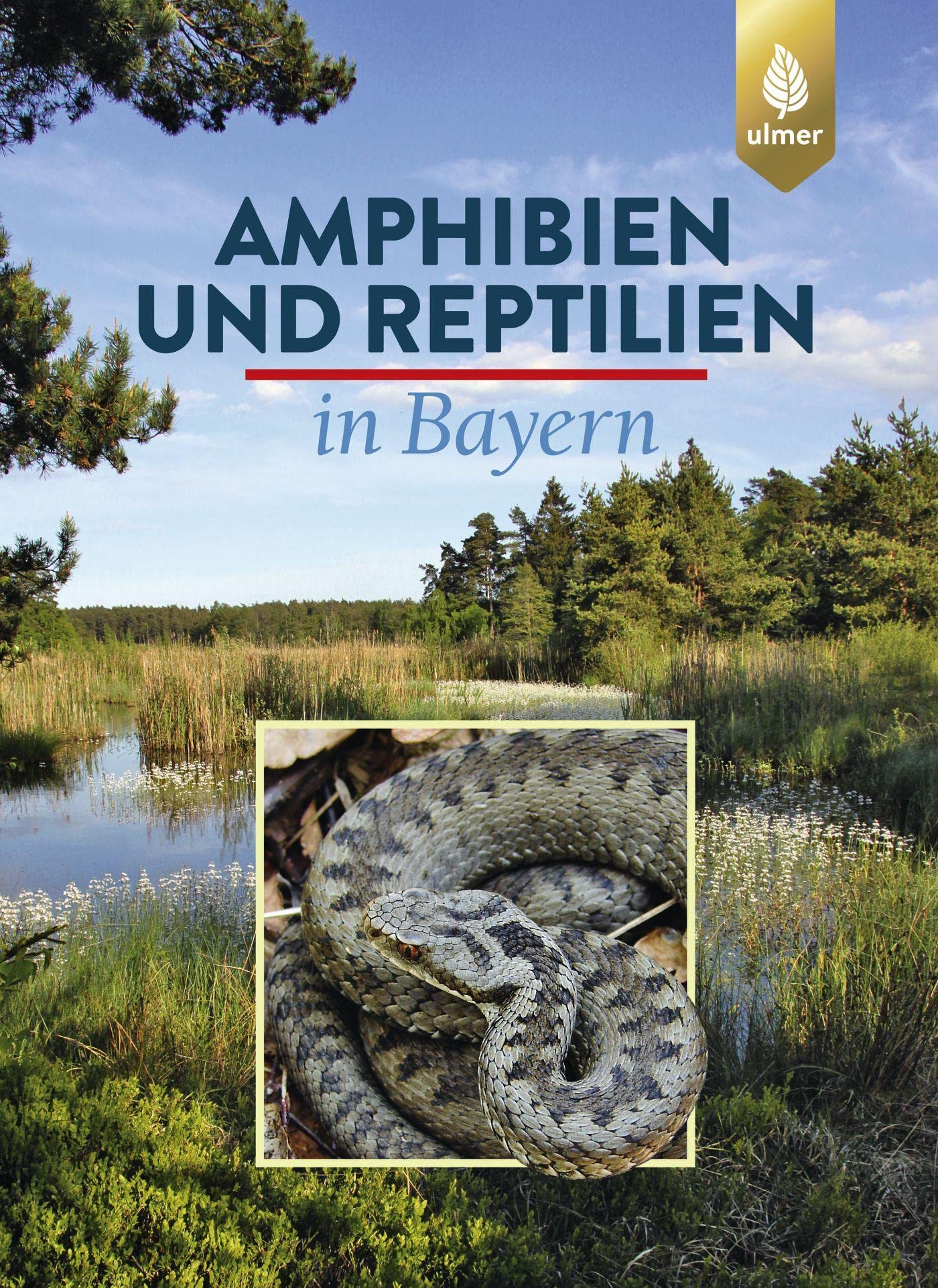 Amphibien und Reptilien in Bayern (Grundlagenwerke Bayern)