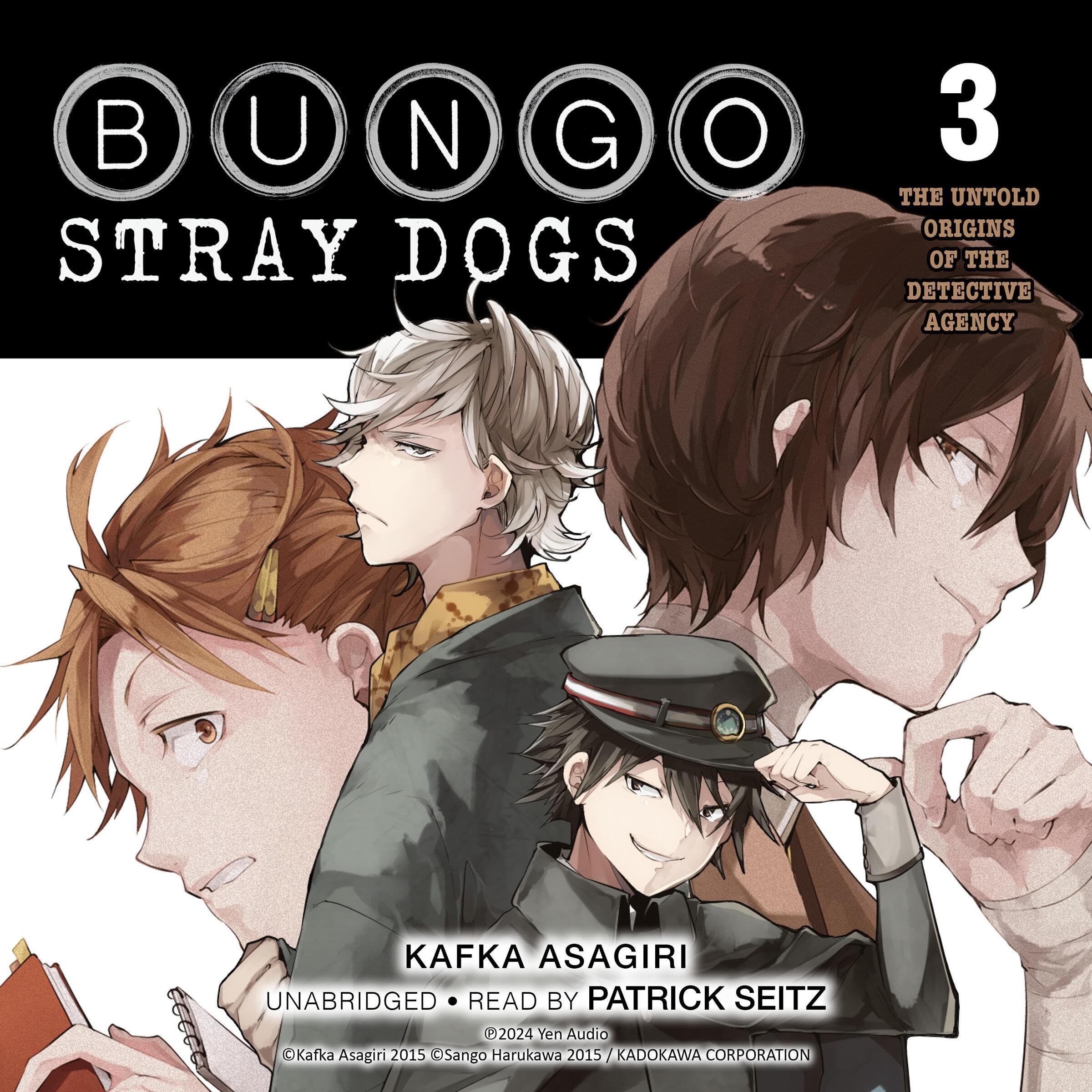 Cover art for Bungo Stray Dogs, Vol. 3