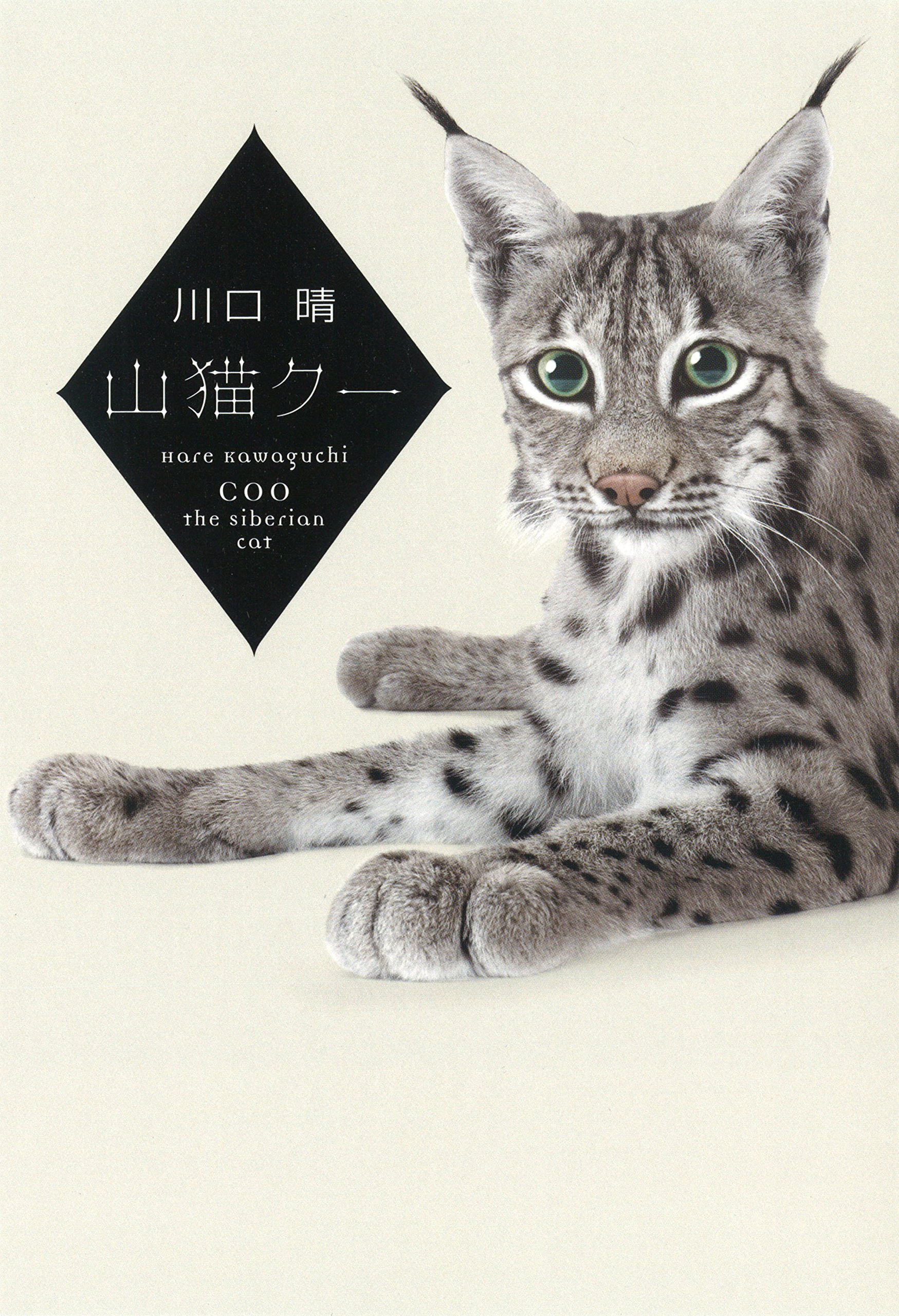 山猫クー 川口晴 本 通販 Amazon