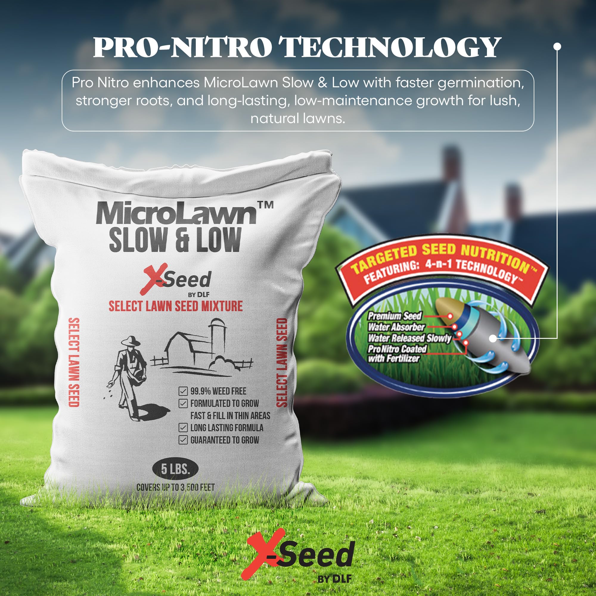 Amazon.com : X-Seed Micro-Lawn Slow & Low Grass Seed for Cool