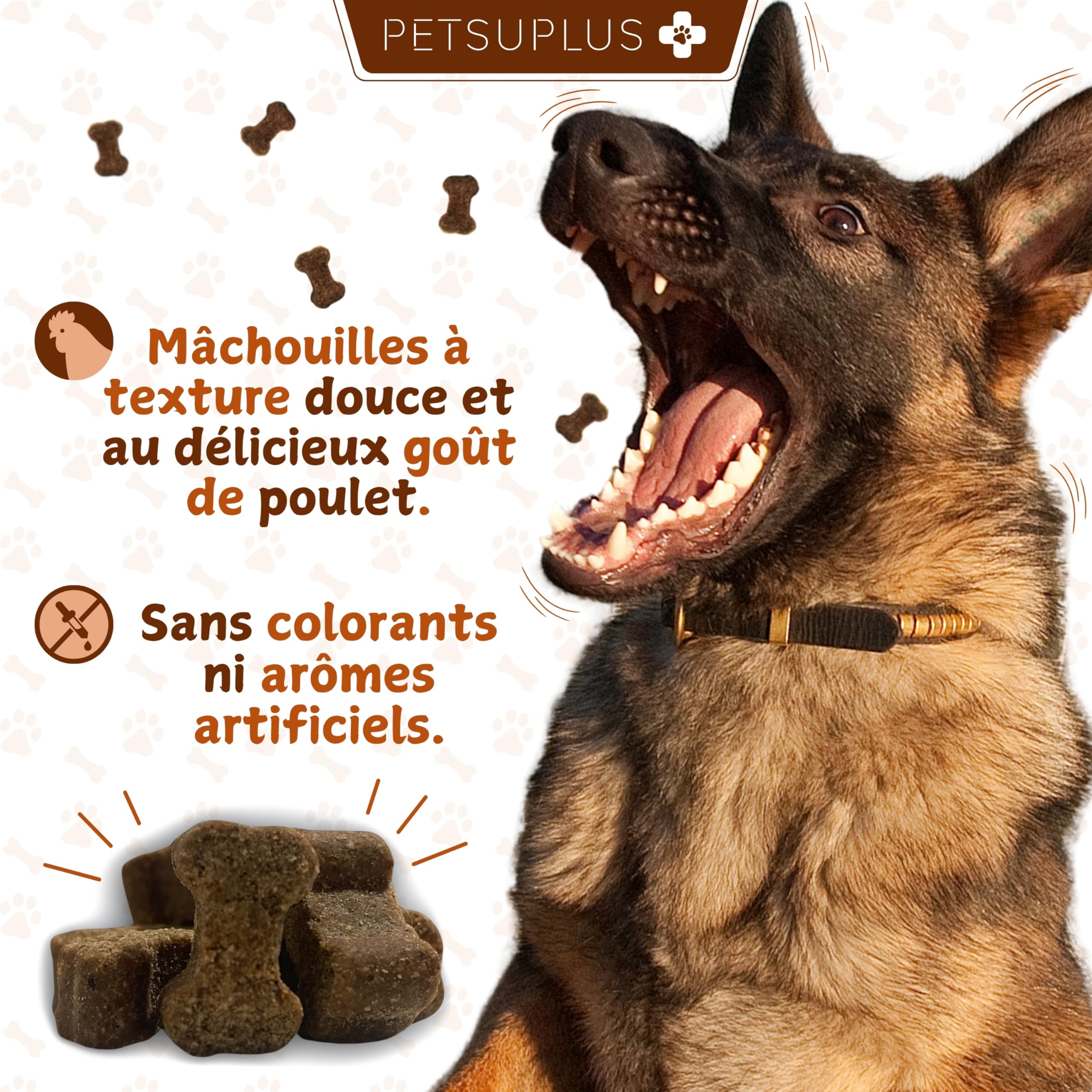 Complement Alimentaire Chien - Traitement Articulation Chiens - Moule Verte Chien, Chondroïtine, Glucosamine, MSM, Collagène, Acide Hyaluronique - Anti Arthrose - 120 Comprimés
