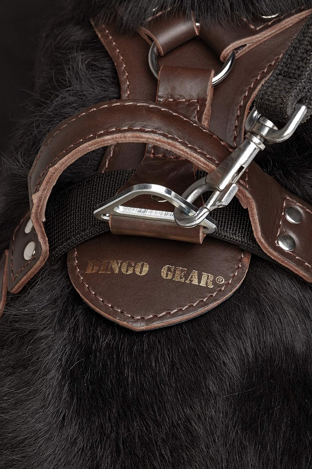 Dingo Gear Predator Stylish Leather Harness for Dog, Hand Crafted, HQ Dog Fashion, Fine Bronze, XL