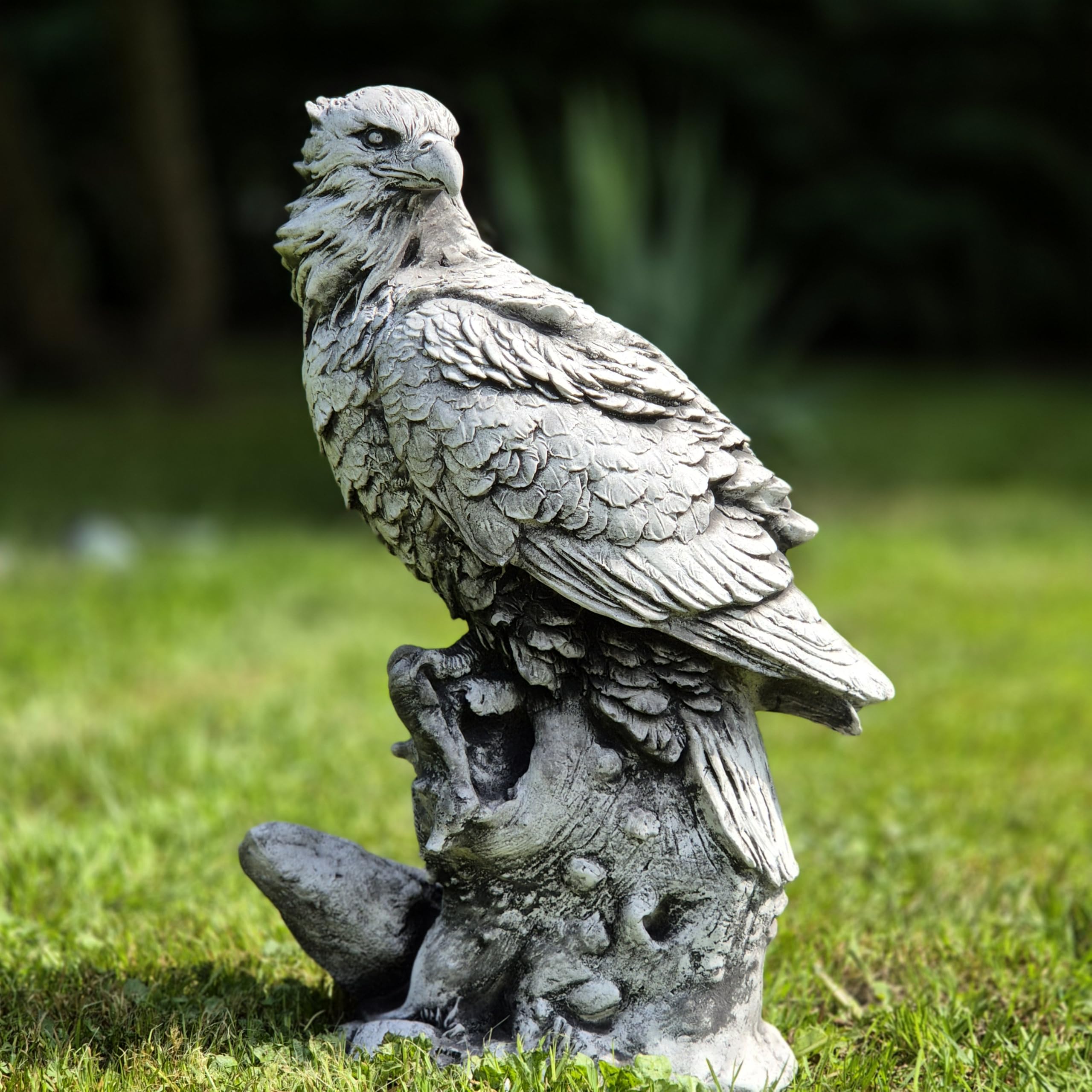 Abriq Aquila sulle rocce, decorazione da giardino realistica in pietra grezza resistente alle intemperie, antigelo per esterni, statua di aquila sulla roccia, aquila reale, altezza: 34 cm, 6 kg