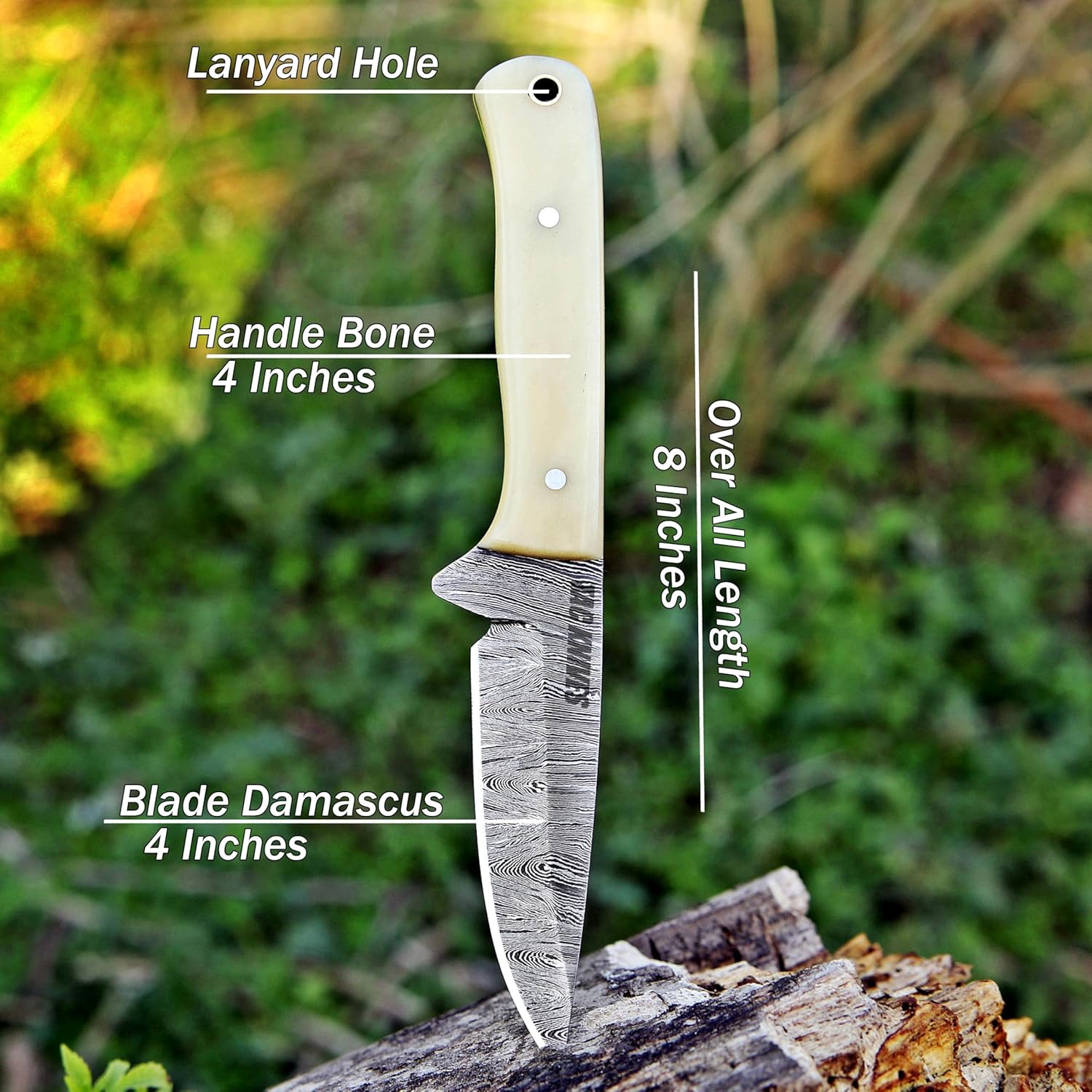 TAC KNIVES 7" Fixed Blade EDC Knife with Sheath - Damascus Steel Hunting Knife - Full Tang - Bone Handle - Pancake Carry Leather Sheath Snug Fit (BONE 303)