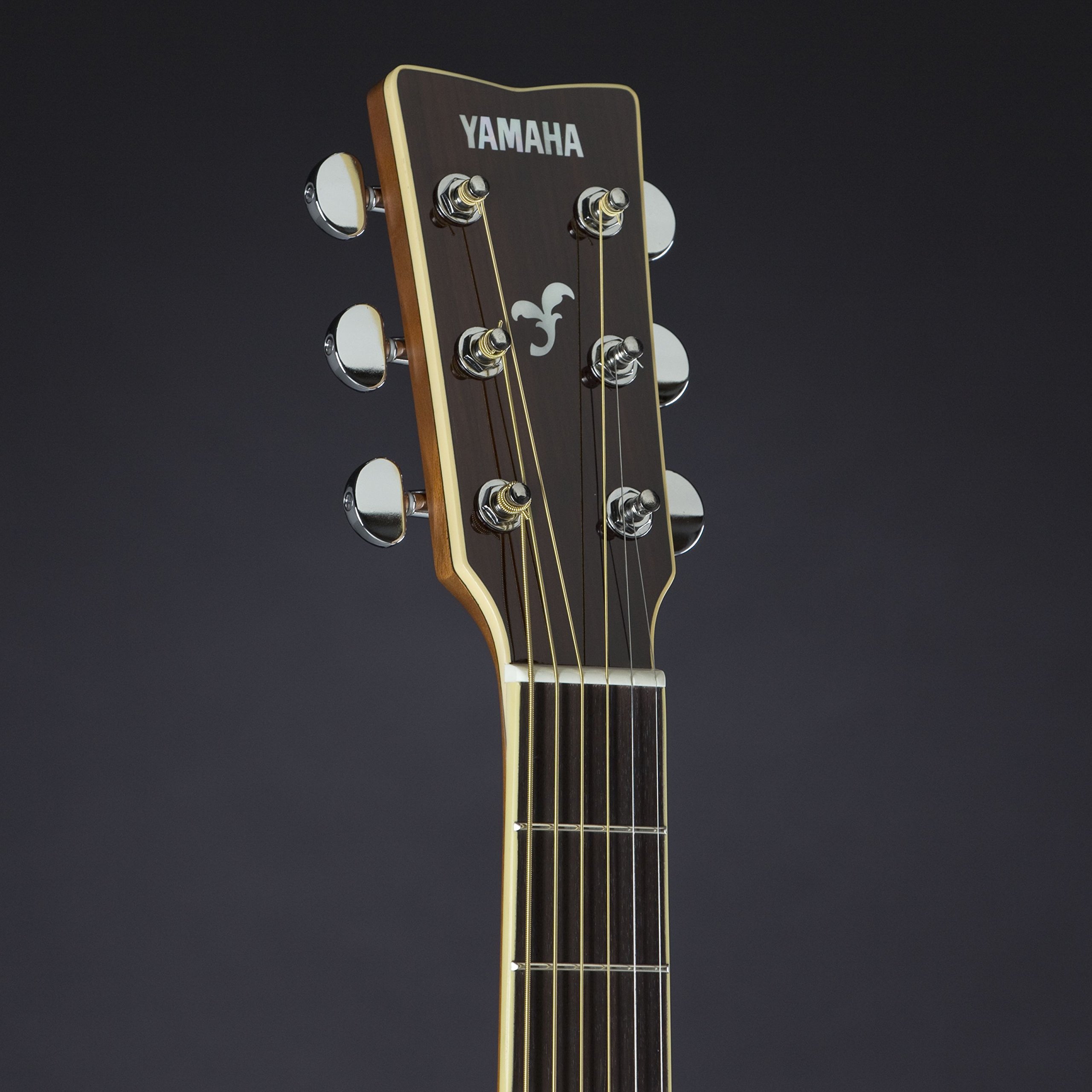 Amazon.co.jp: ヤマハ YAMAHA アコースティックギター FG840