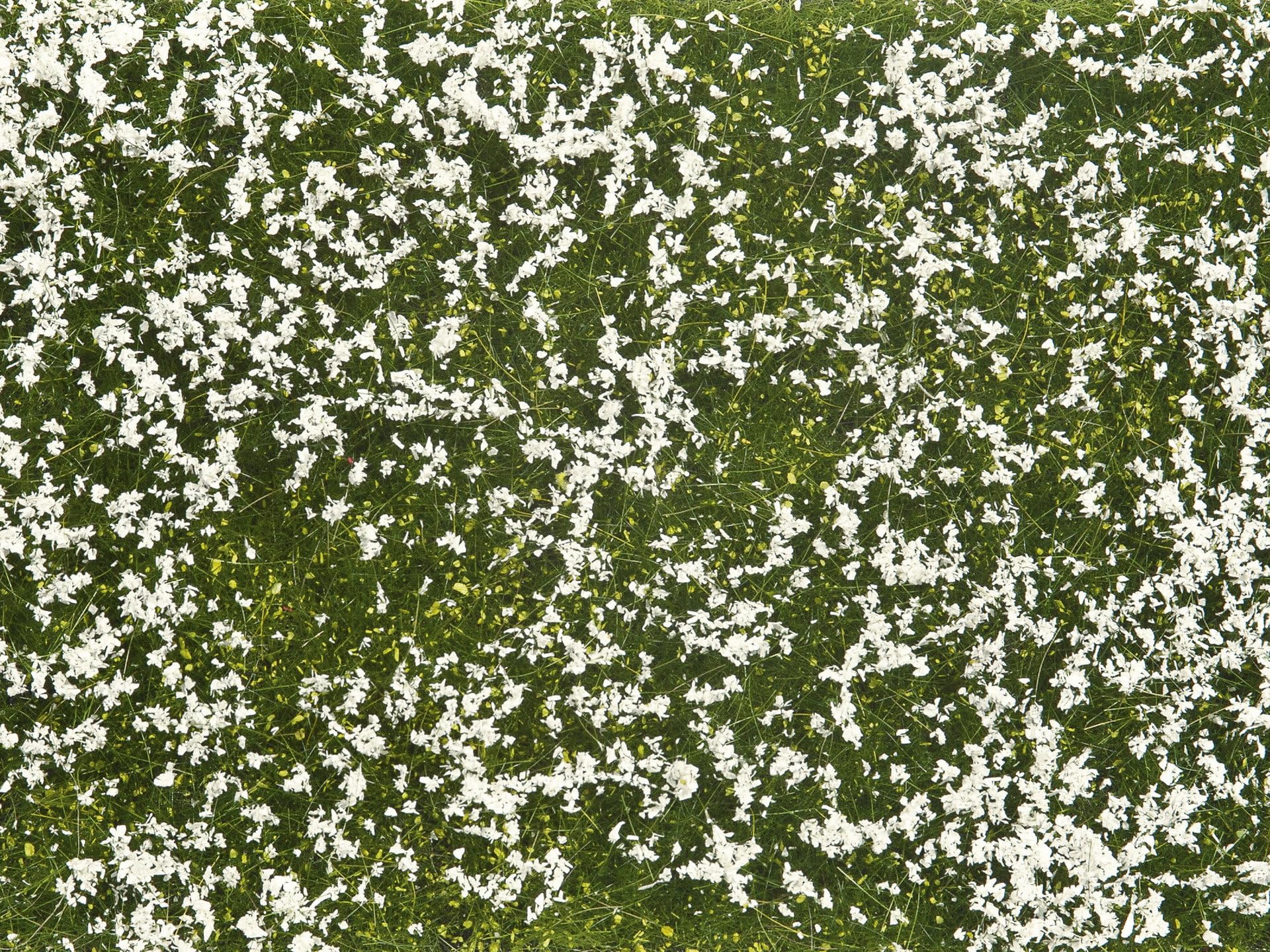 NOCH 07256 - G, 1,0, H0, H0M, H0E, Tt, N, Z - Bodendecker-Foliage Meadow White,