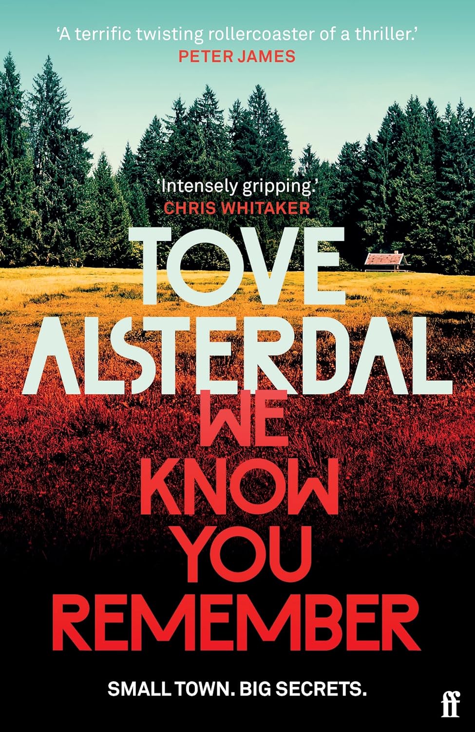 We Know You Remember The No. 1 International Bestseller (High Coast