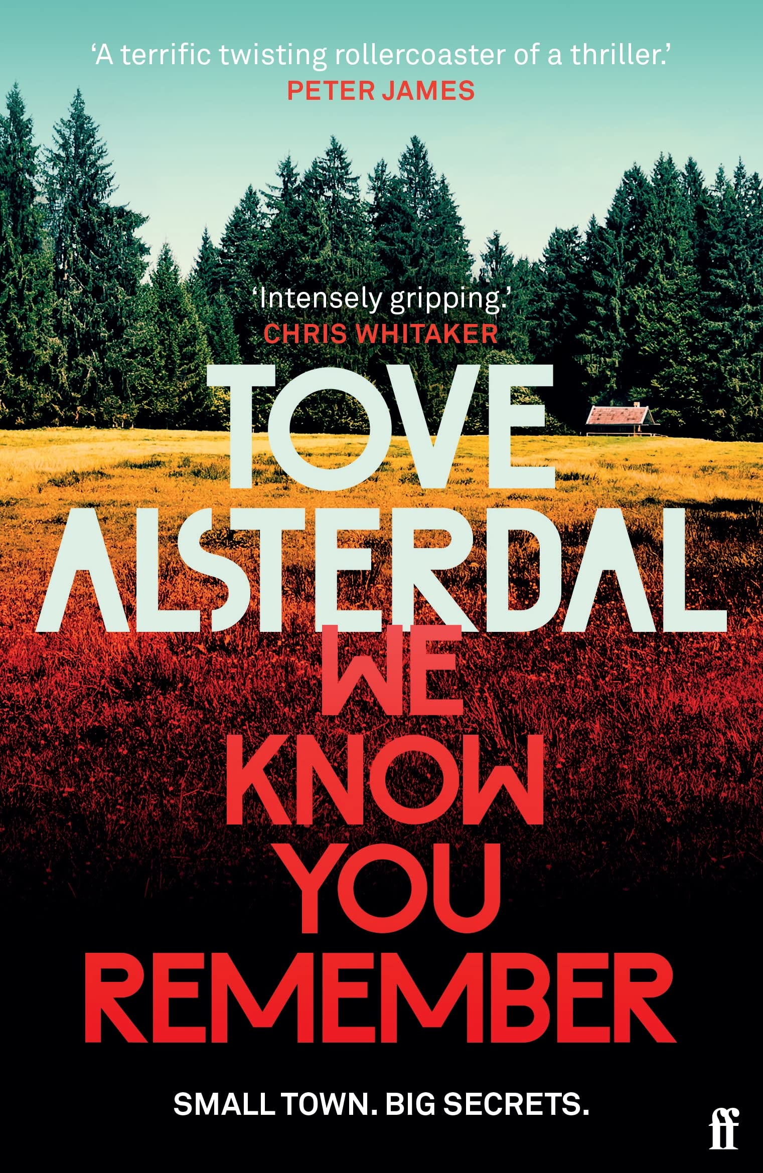 We Know You Remember by Tove Alsterdal PAPERBACK 9780571368938