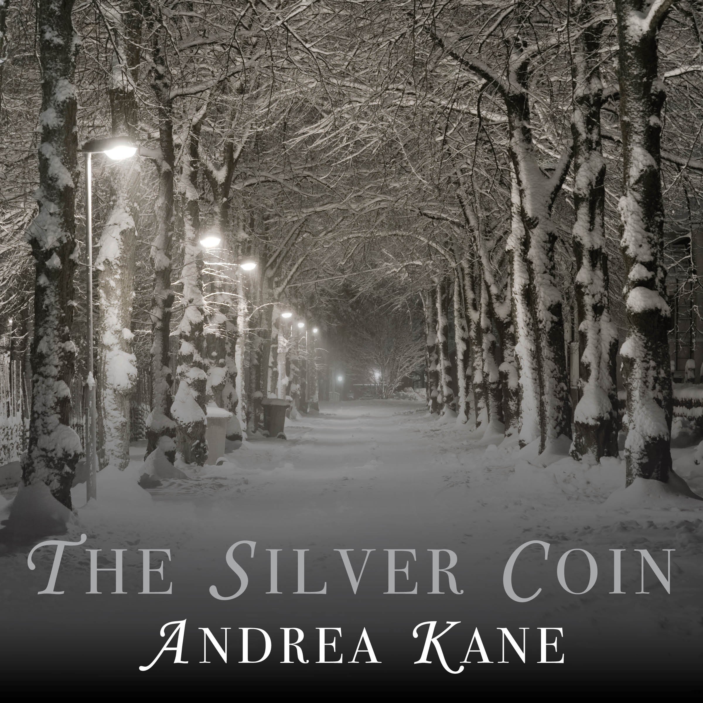 Cover art for The Silver Coin