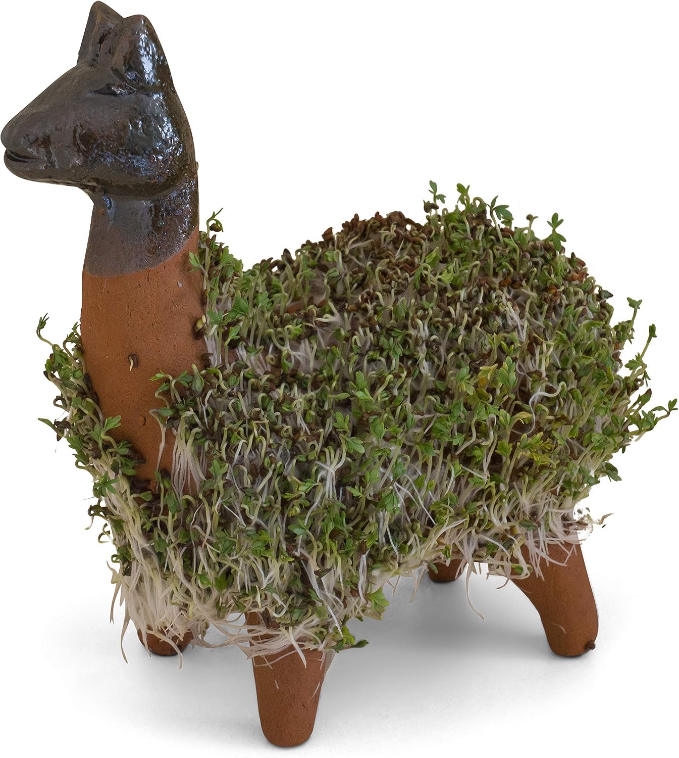 Tumia LAC Grow Your Own Kits, Llama Cress Ceramic Figure, Gifts for Women and Men Garden Ornament, Figure Height 18 cm Including Seeds - Image 5
