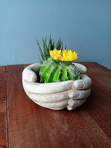 Miniatura 6 de Distinctive Designs Cupped Hands - Maceta de concreto para flores de mesa y suculentas para interiores y exteriores, color gris, 5.5 pulgadas de