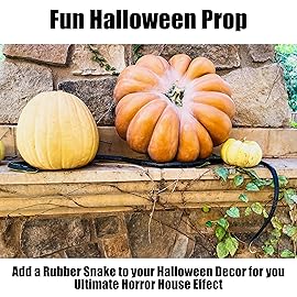 FunFamz The Original Realistic Rubber Snake Toy - Large Black Fake Snake Prank, Keep Birds Away, Toy Snakes That Look Real, Perfect Nature Gift for Kids or for April Fools Day Practical Jokes