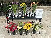 Review Image by Ellie Ellie