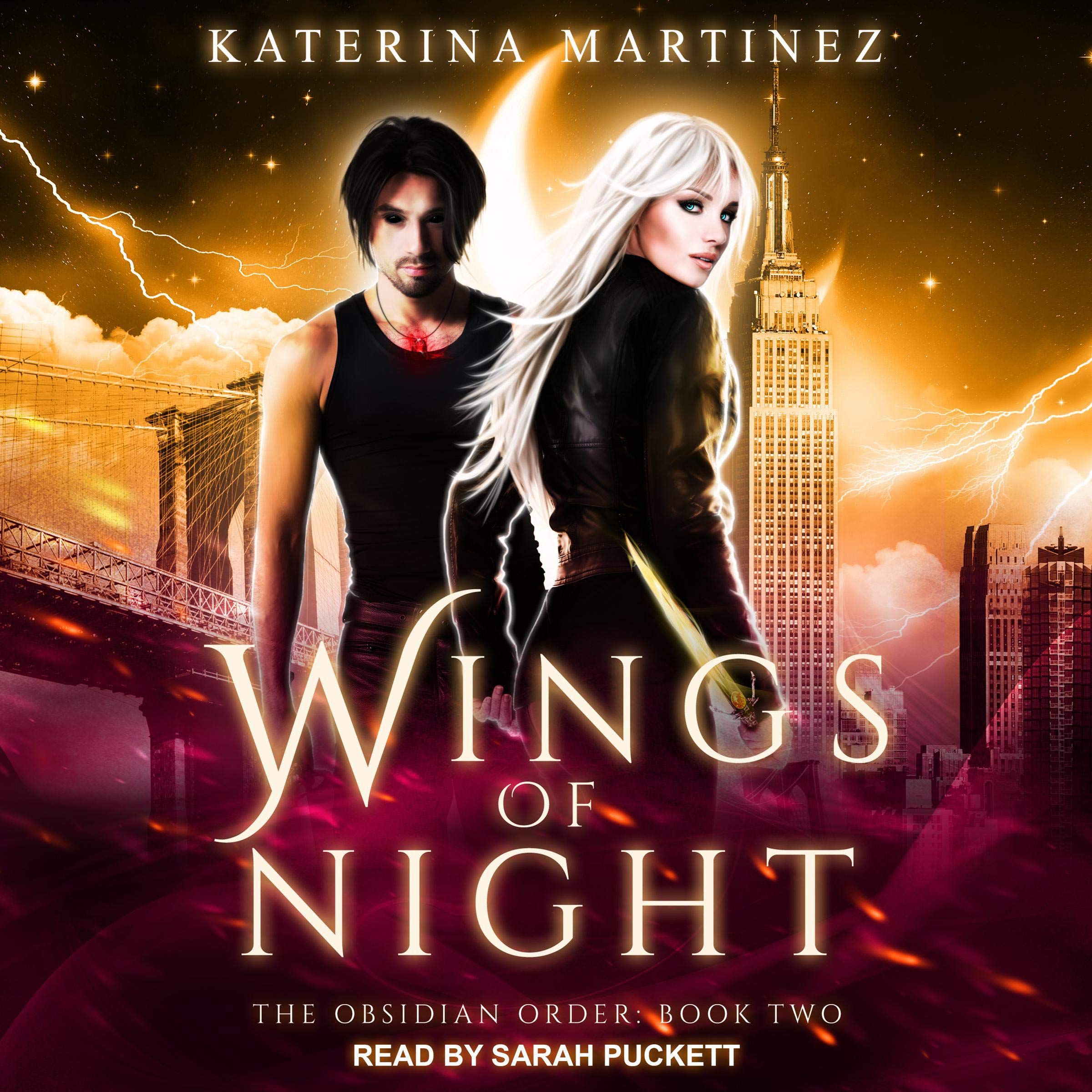 Cover art for Wings of Night