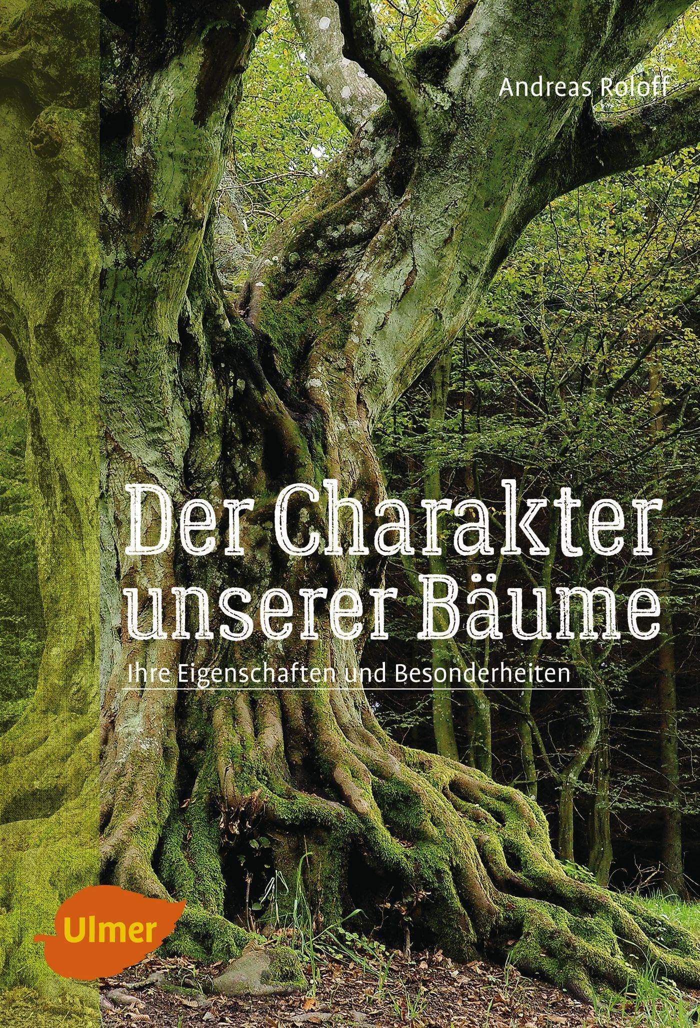 Der Charakter unserer Bäume: Ihre Eigenschaften und Besonderheiten