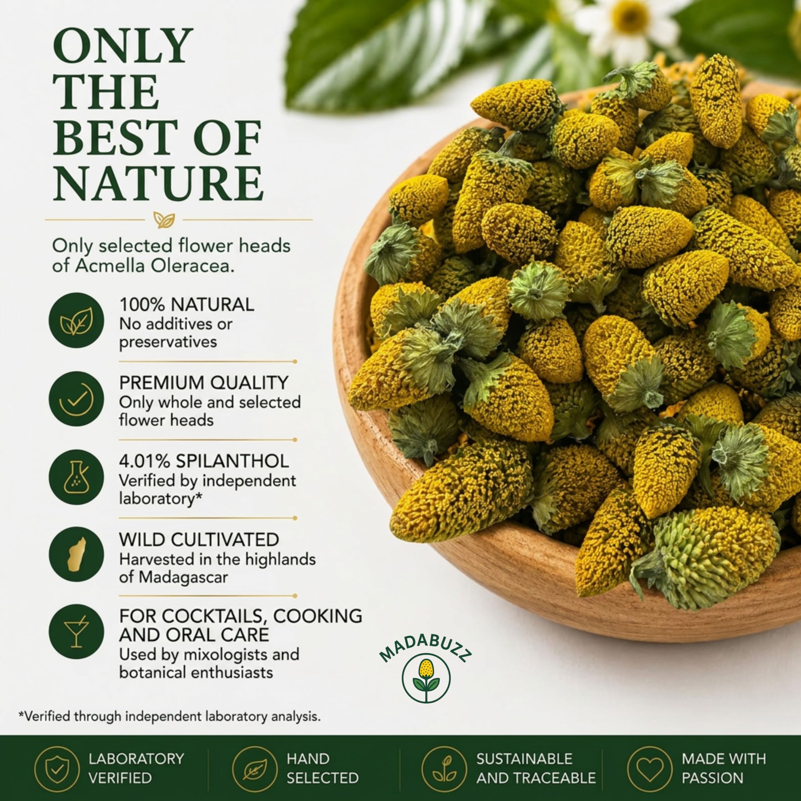 Premium Buzz Buttons (Spilanthes Acmella) – Rico en spilantol, flores comestibles para base de mixología y extracto, seleccionadas a mano de Madagascar (100)