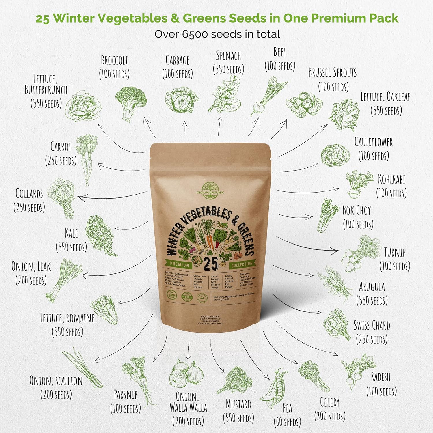 25 Winter Vegetable Garden Seeds Variety Pack for Planting Outdoors & Indoor Home Gardening 6500+ Non-GMO Heirloom Veggie Seeds: Broccoli Beet Carrot Collard Lettuce Radish Spinach Pea Kohlrabi & More : Patio, Lawn & Garden