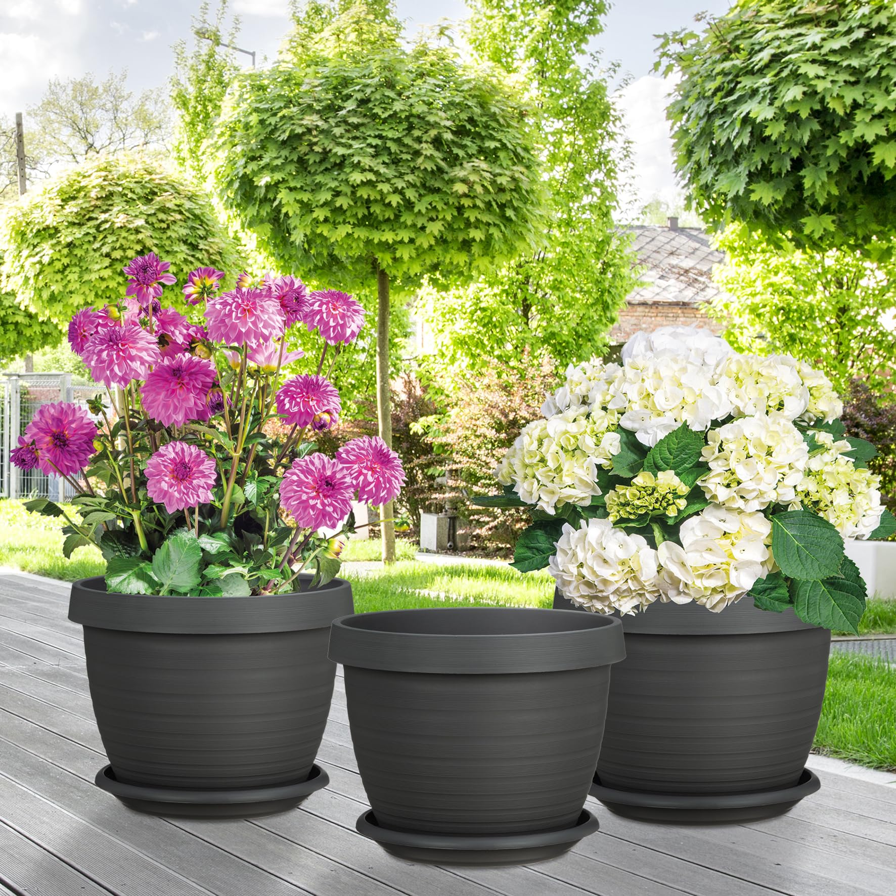 Scheurich 3er Set Blumentöpfe Country Star mit Untersetzern, Grau, Ø 39 cm, H 30 cm