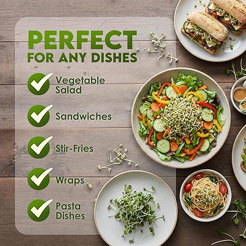 Miniatura 6 de Nature Jims Mung Bean Sprout Seeds – Semillas germinantes de 16 onzas – Semillas de frijol Mung Premium – Sin OMG – Bolsa resellable para una