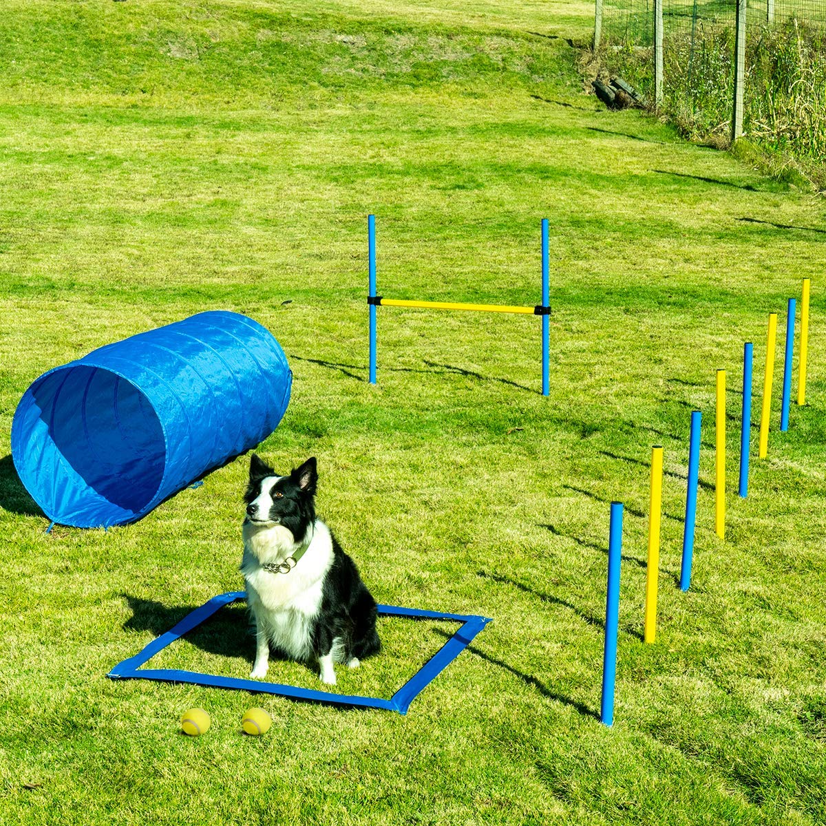 Dog Agility Equipment, Outdoor Games Exercise Training Obstacle Course Hurdles for Jumping Practice, Agility Starter Kit with Carrying Case