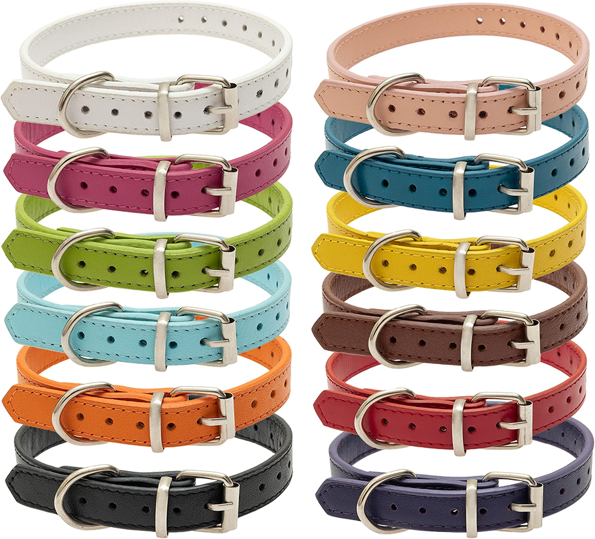 cute boy dog collars